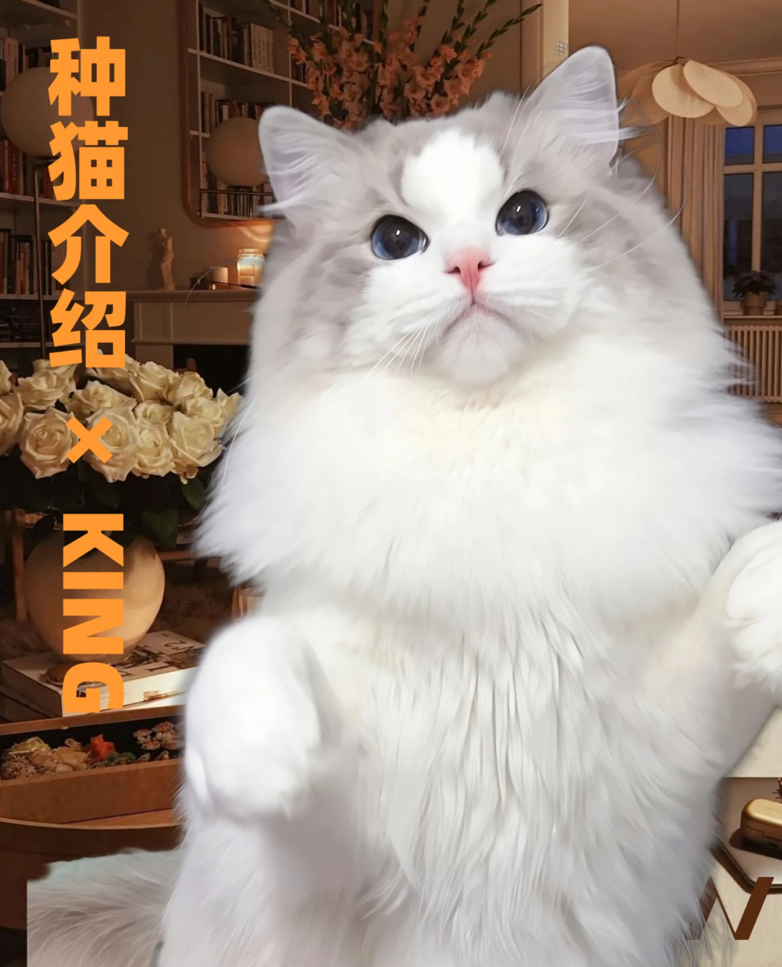 艾文
