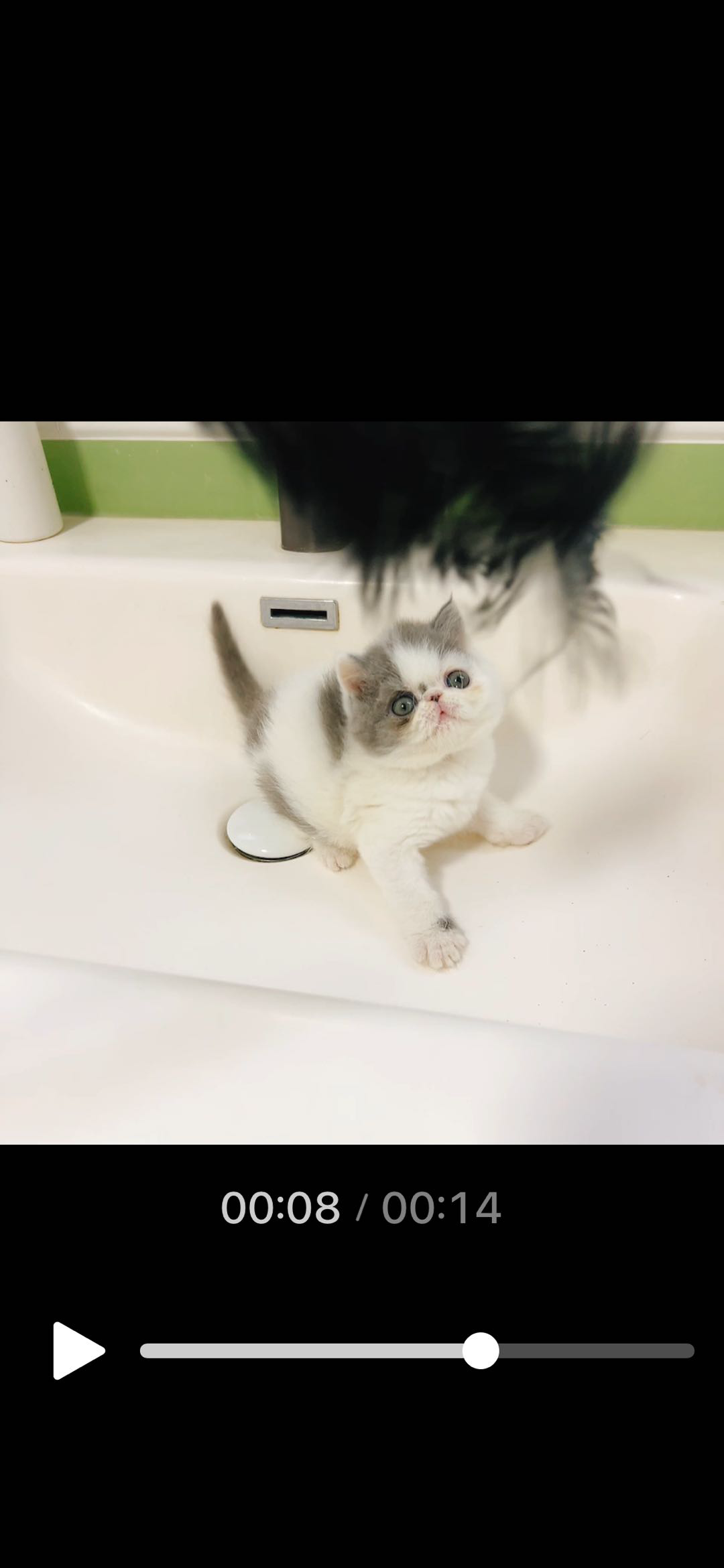 福栗