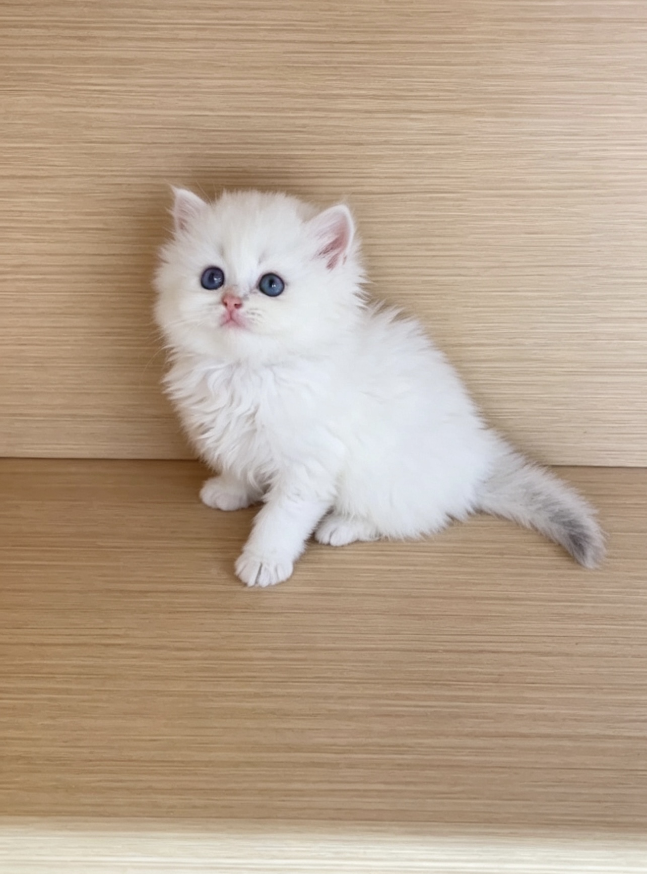 火点