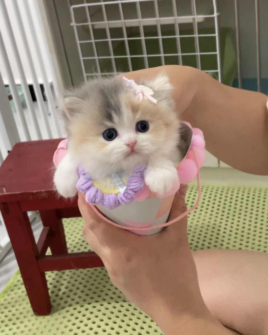 小田