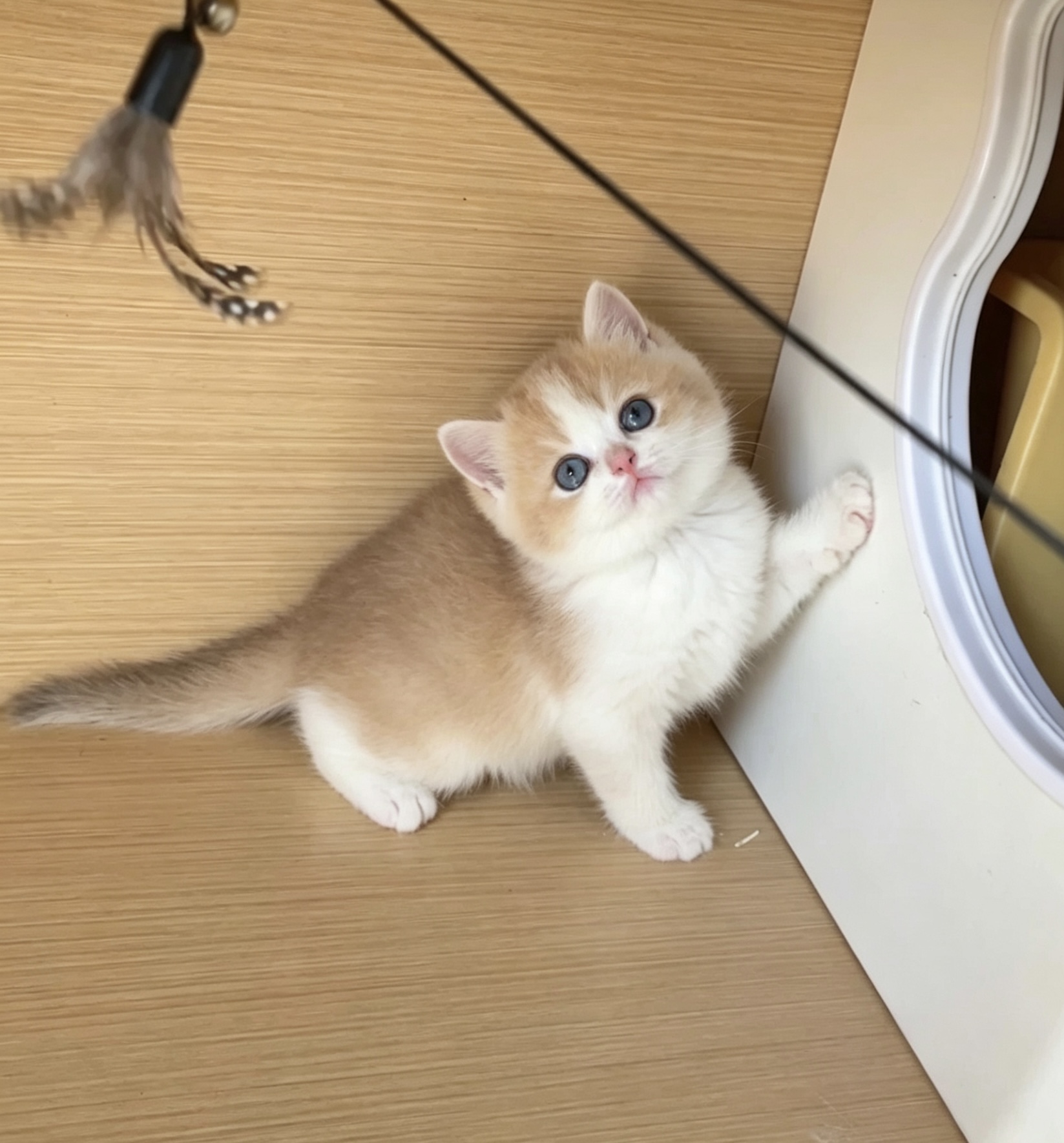 火箭