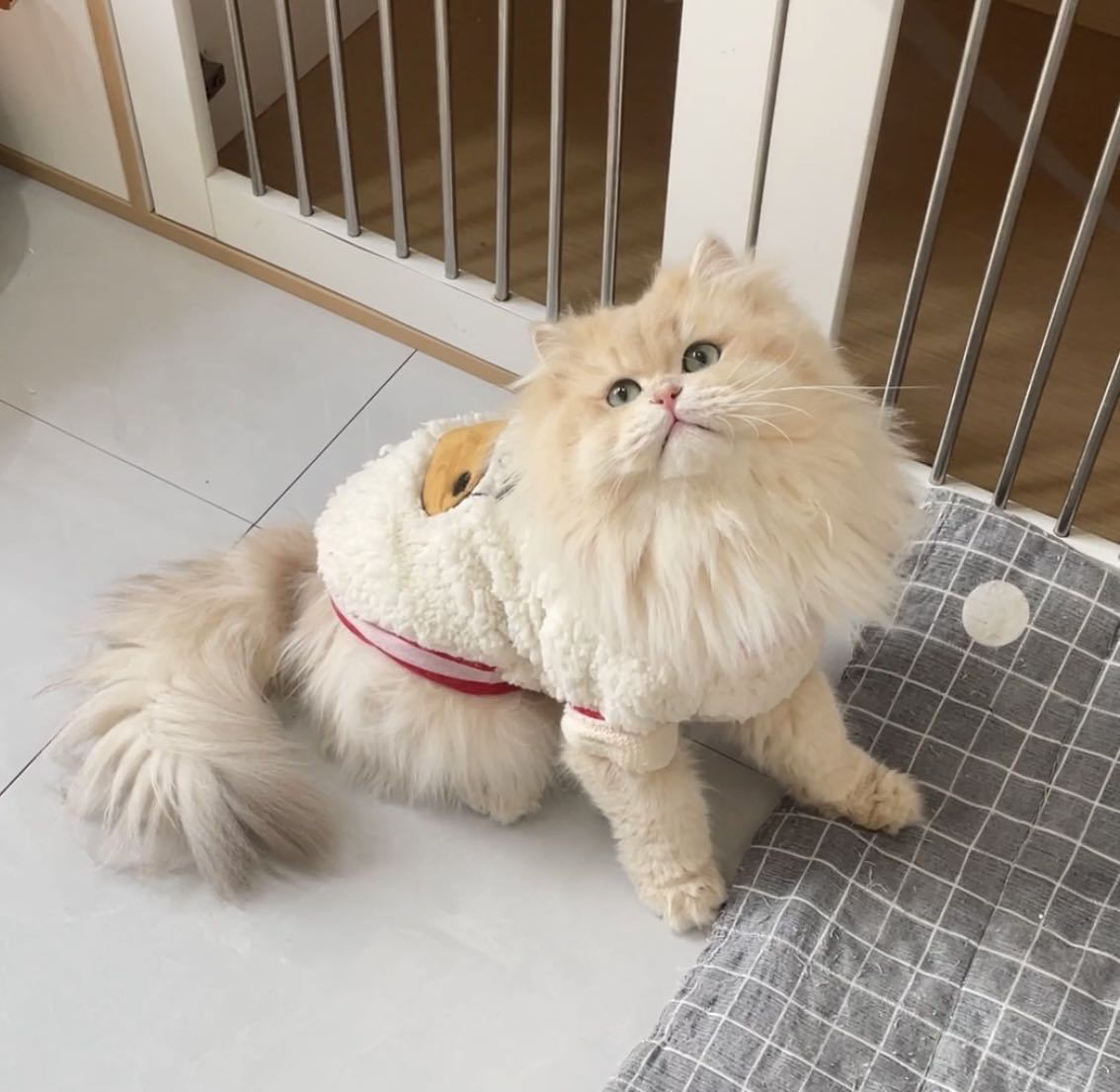 叮当