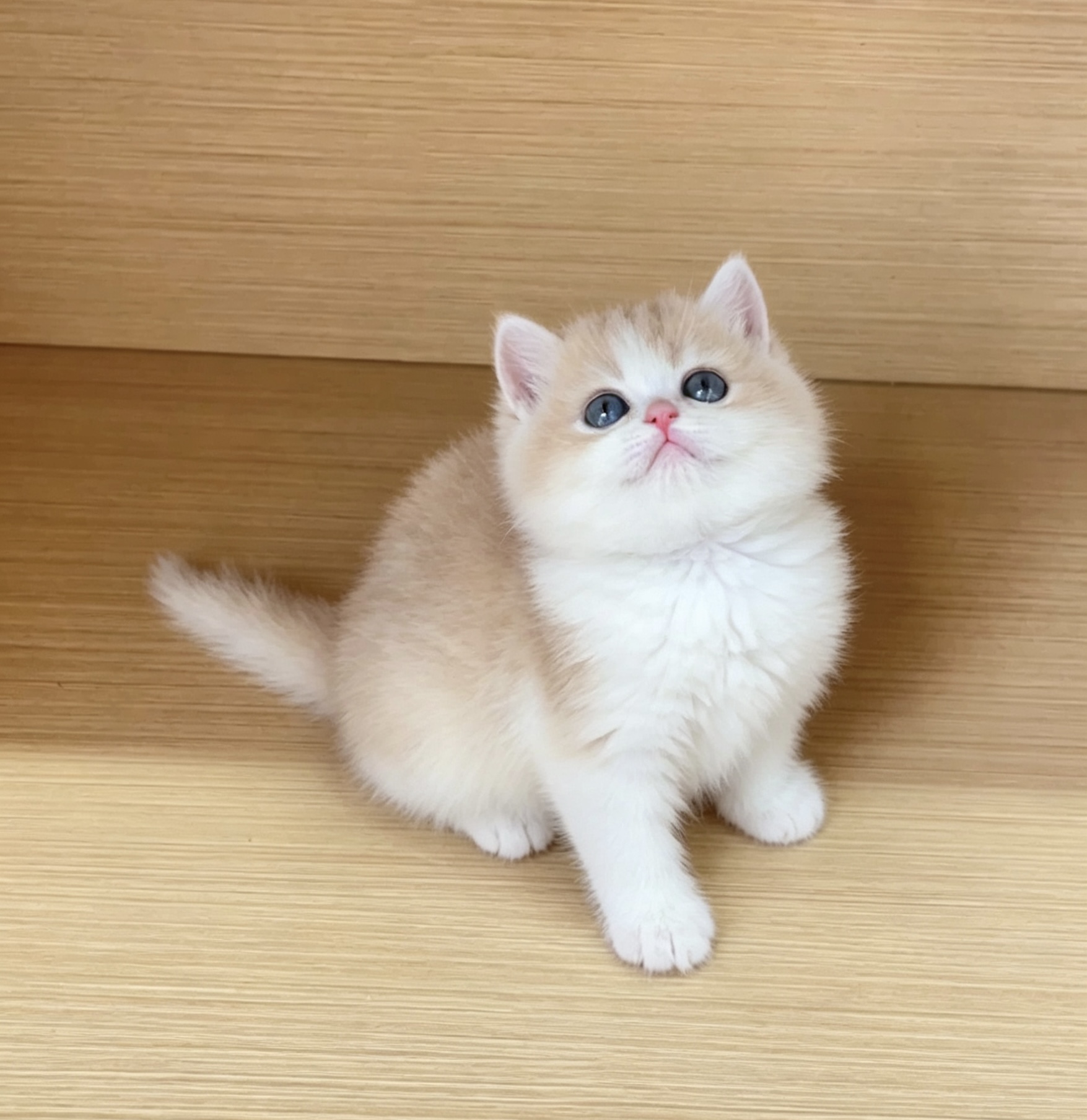 火苗