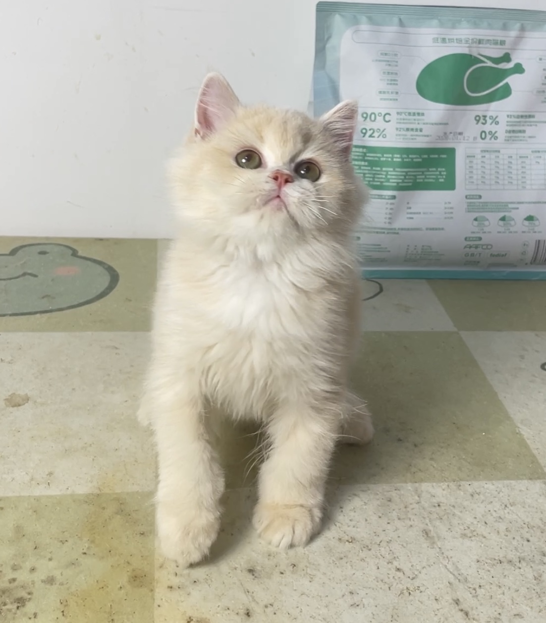 小强 2