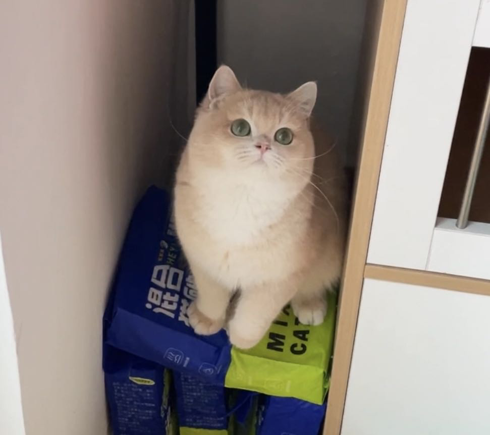 来财
