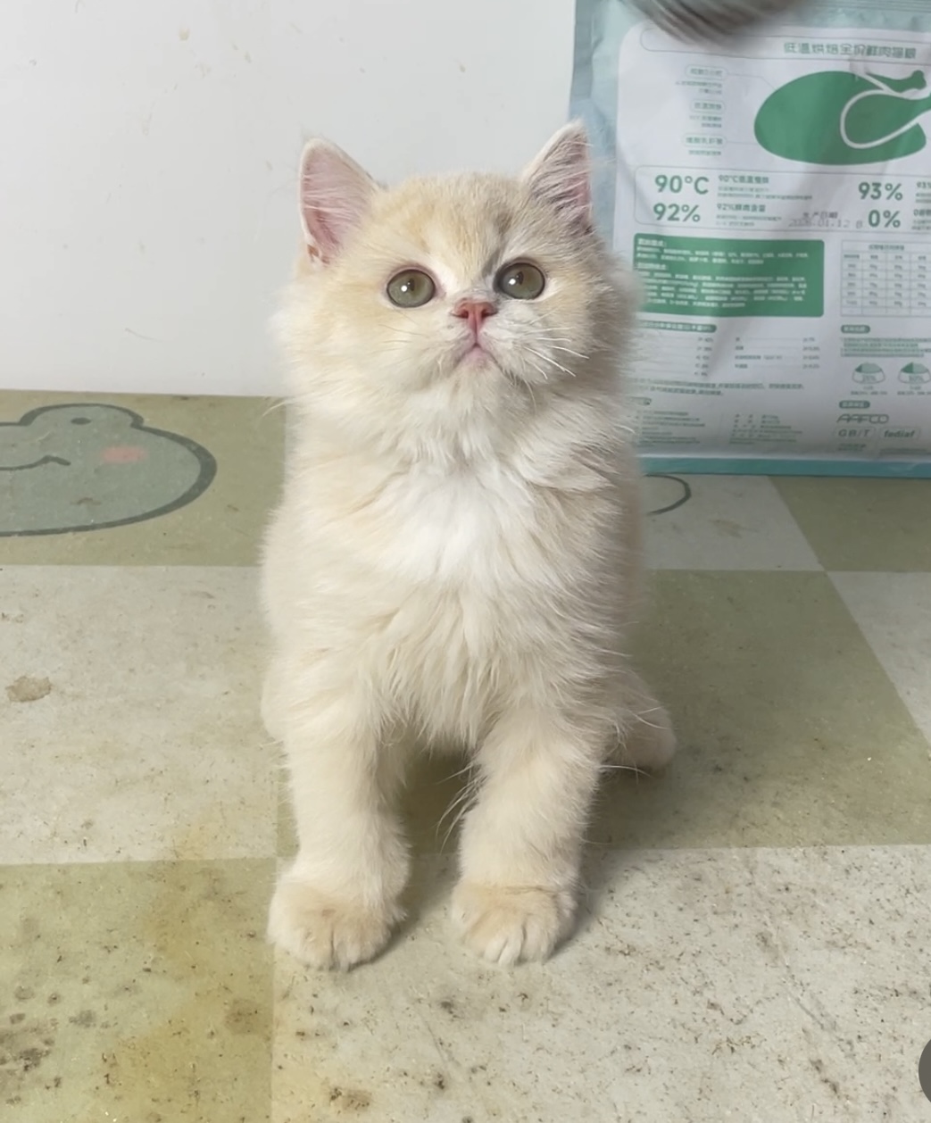 小强 3