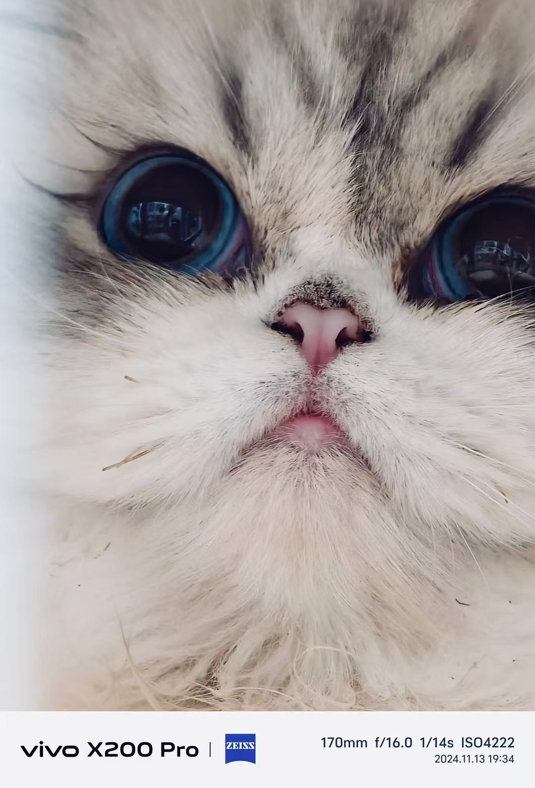 Miumiu