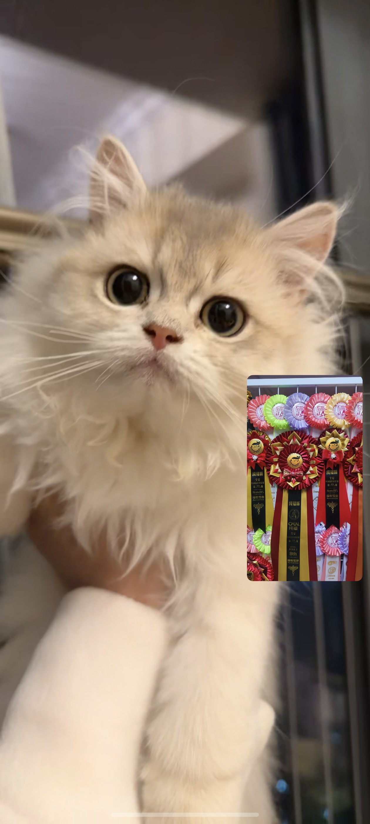 小屁股们长大了好多呀