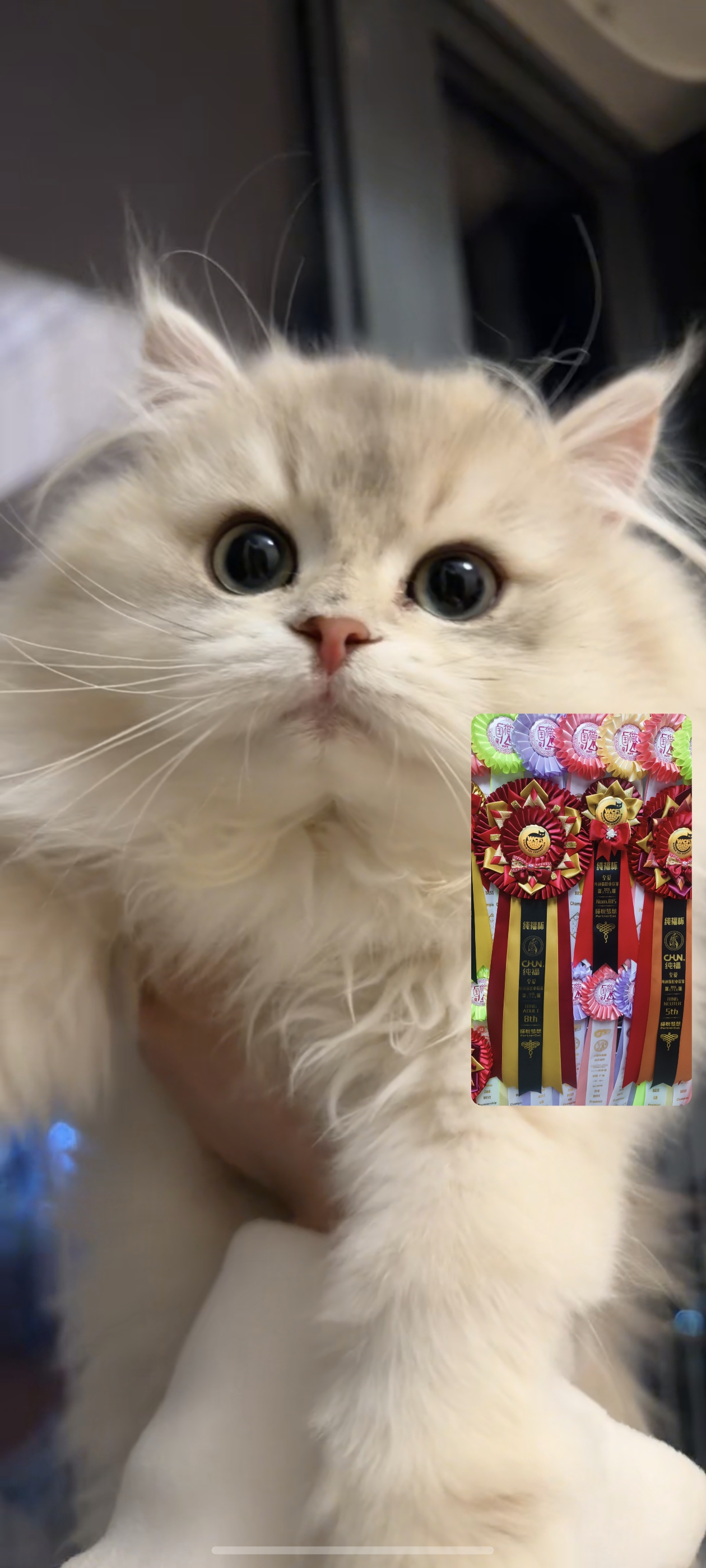 小屁股们长大了好多呀