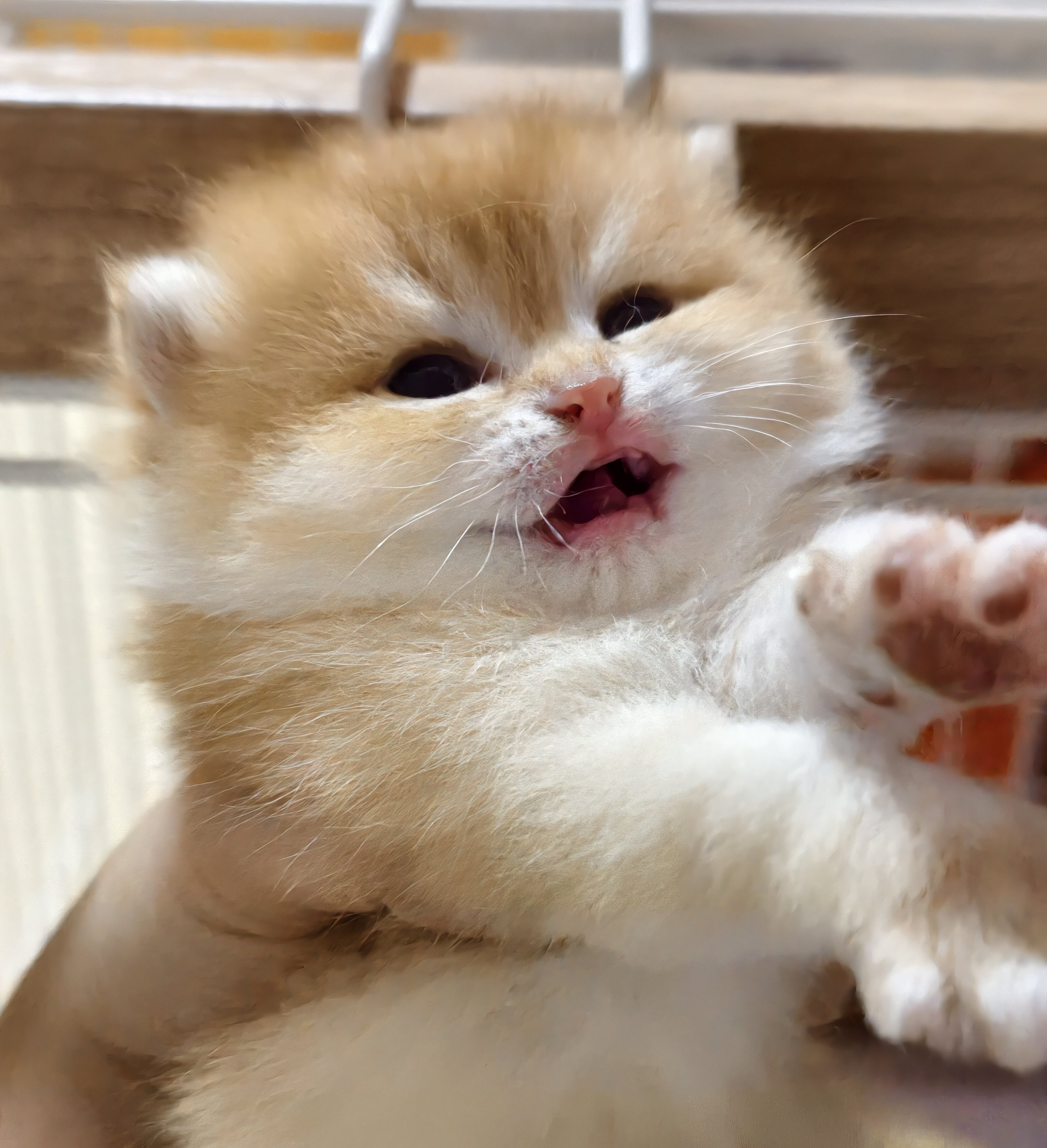 草草