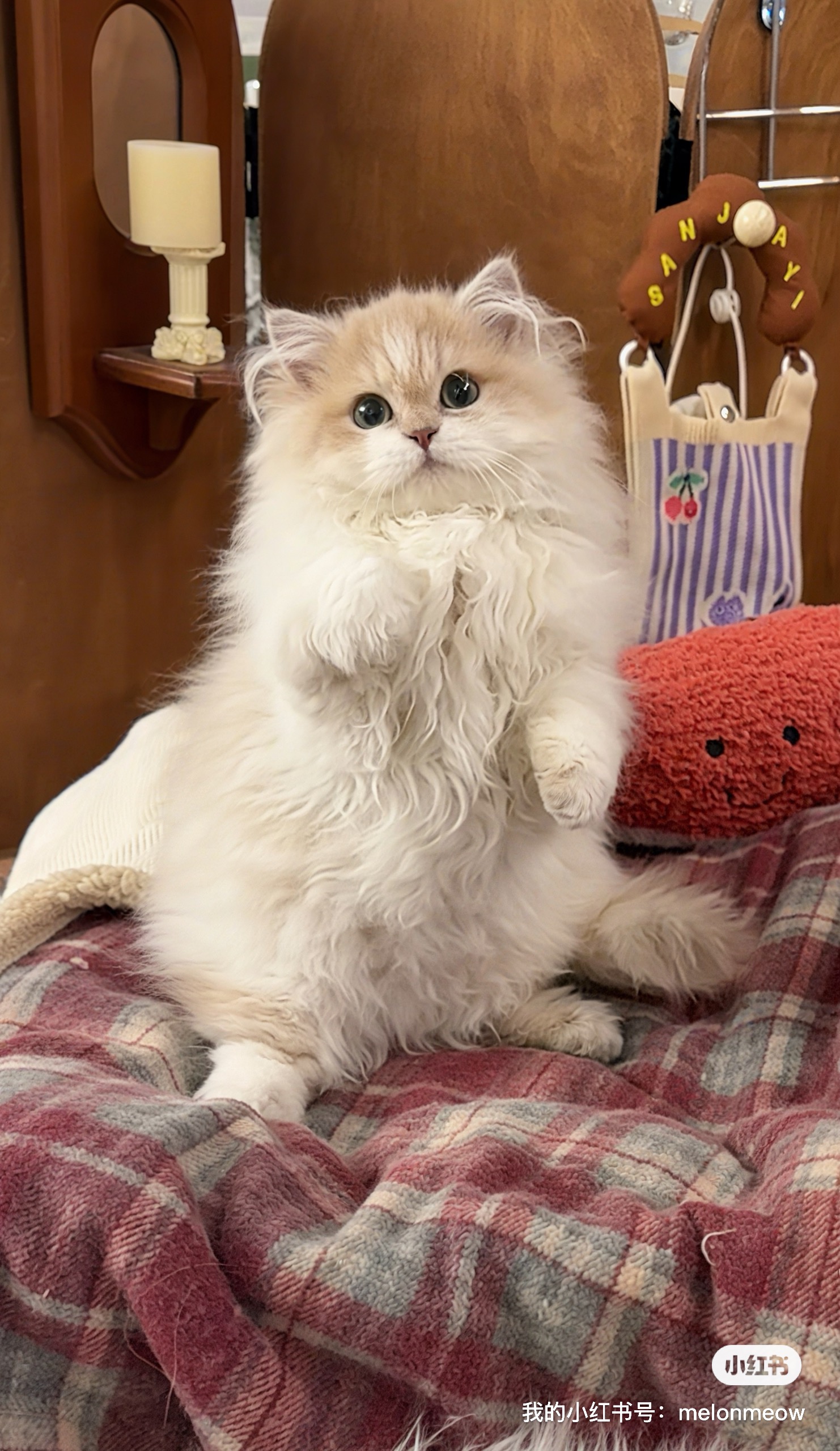 菇德莫宁 照片 1