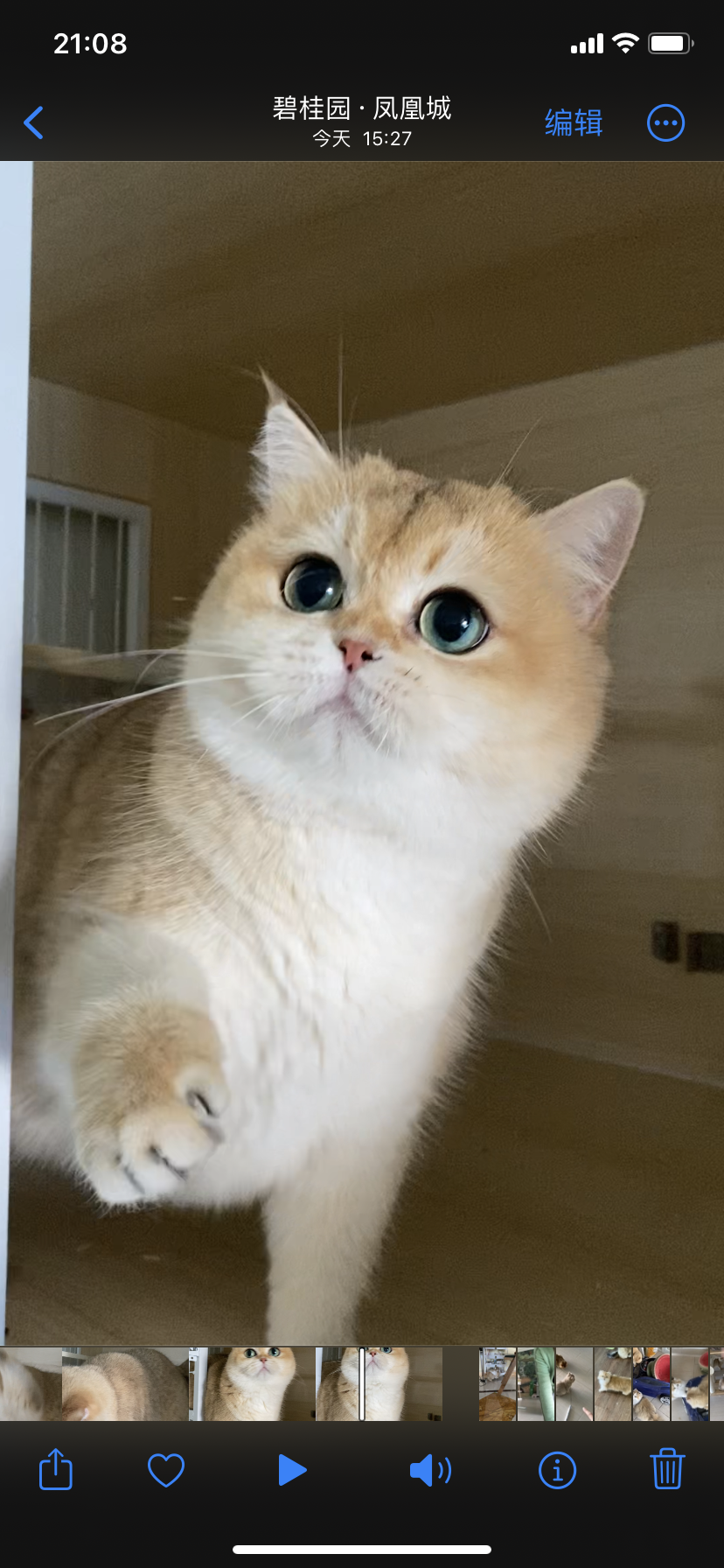 熊宝