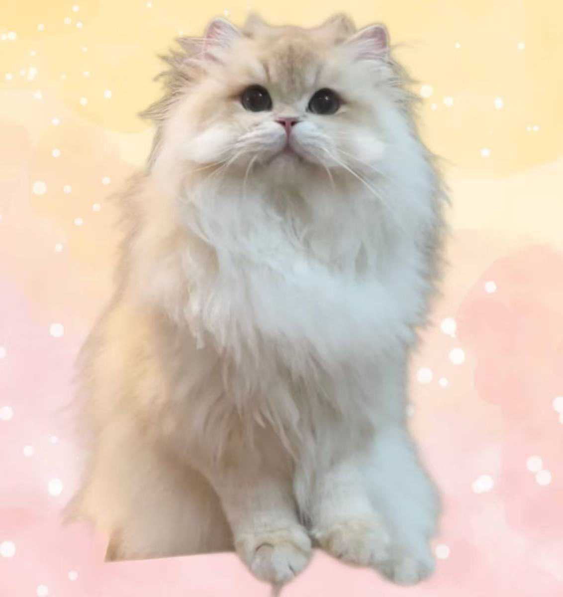 发财