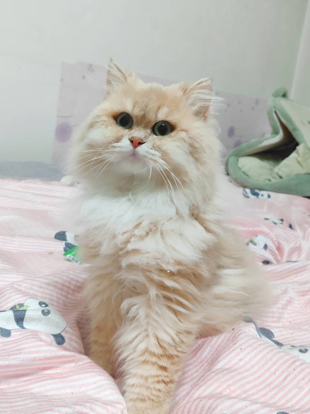 财财