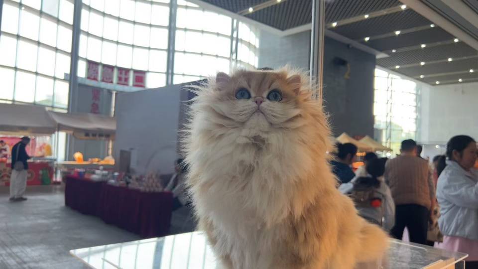 战神