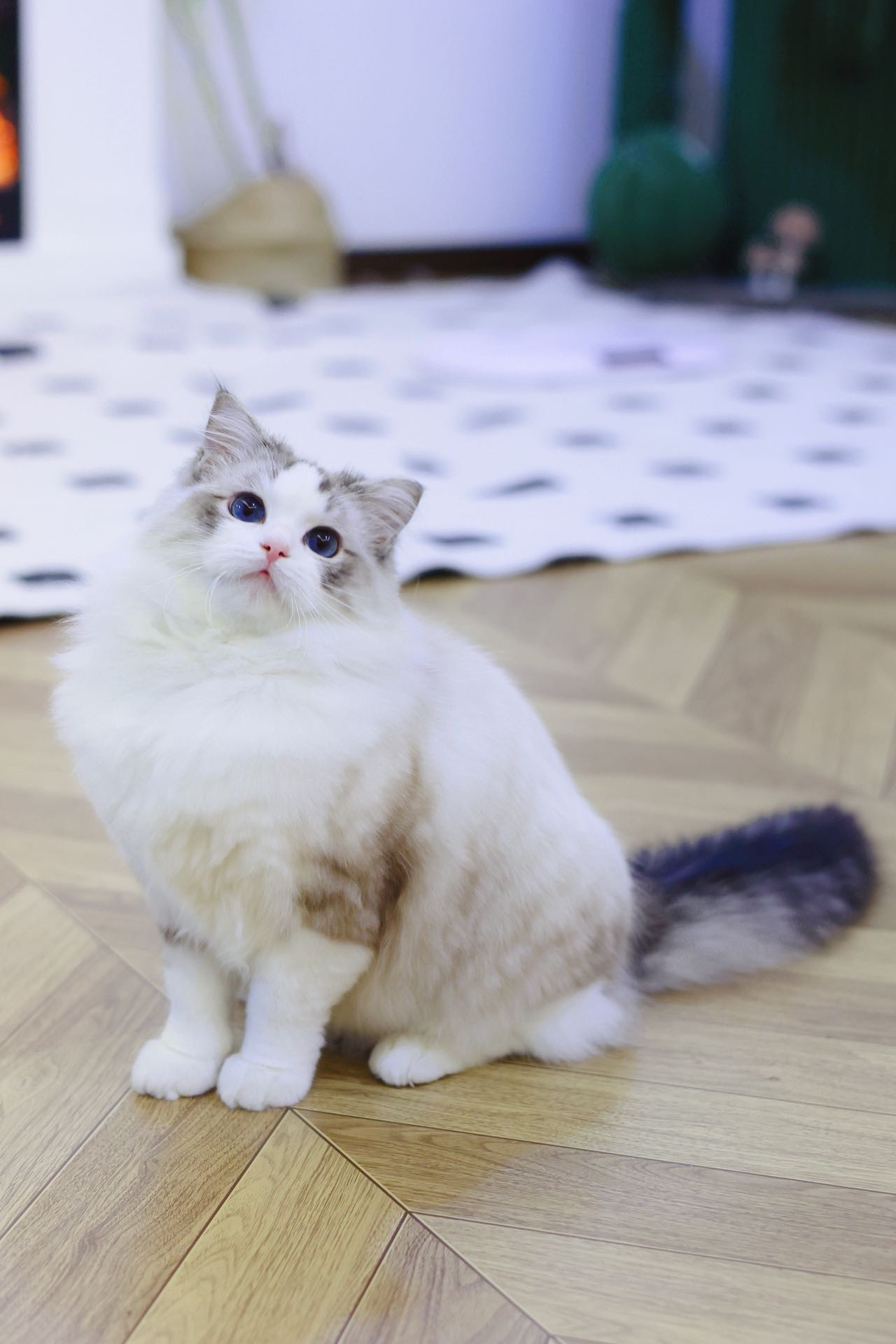 贴贴 2