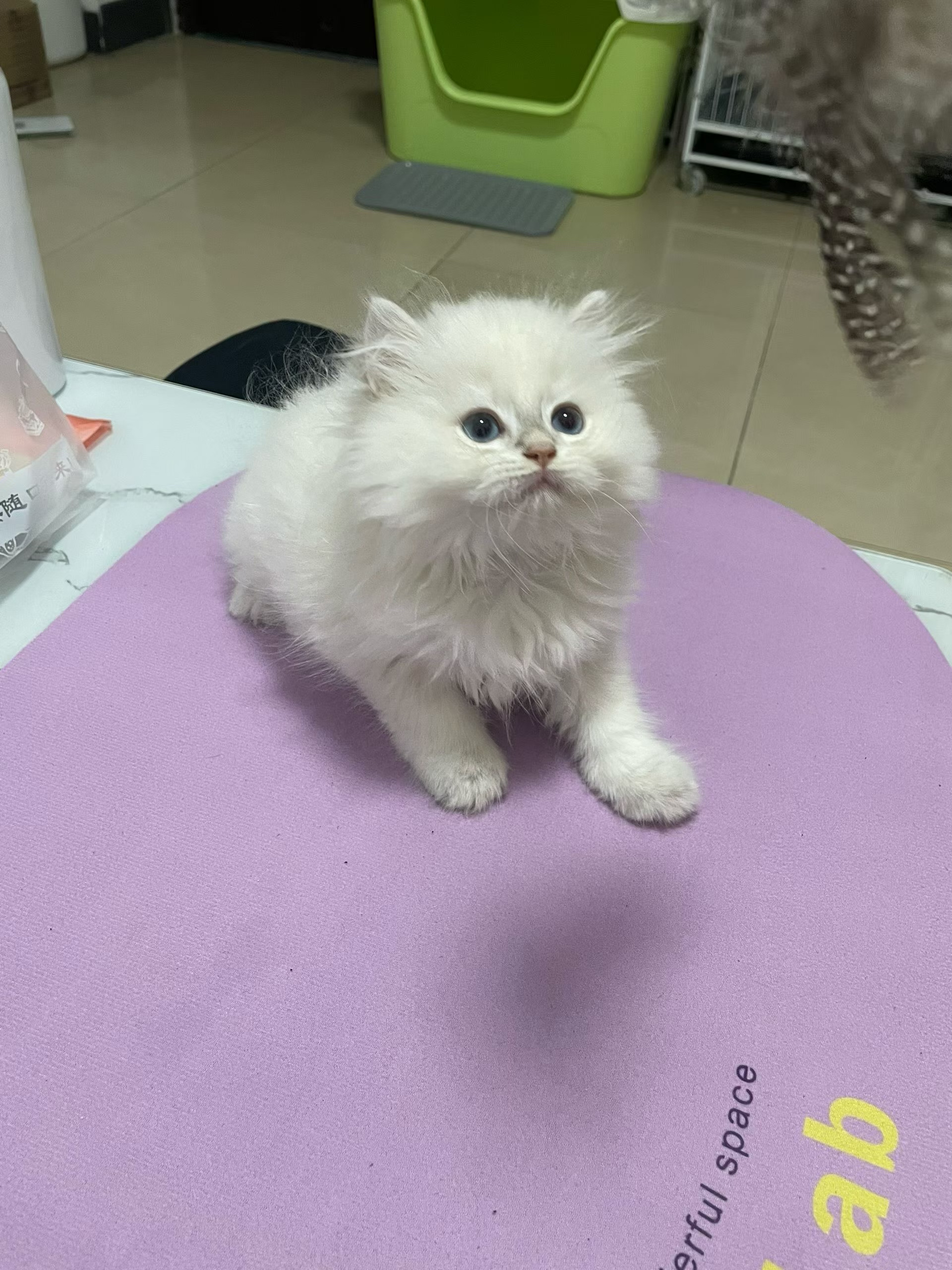 点点