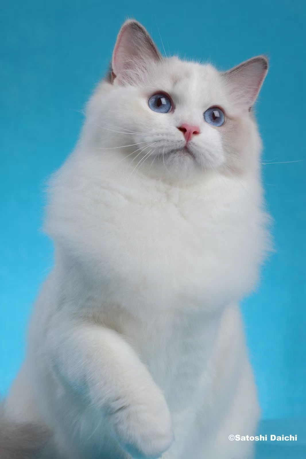 Kiara