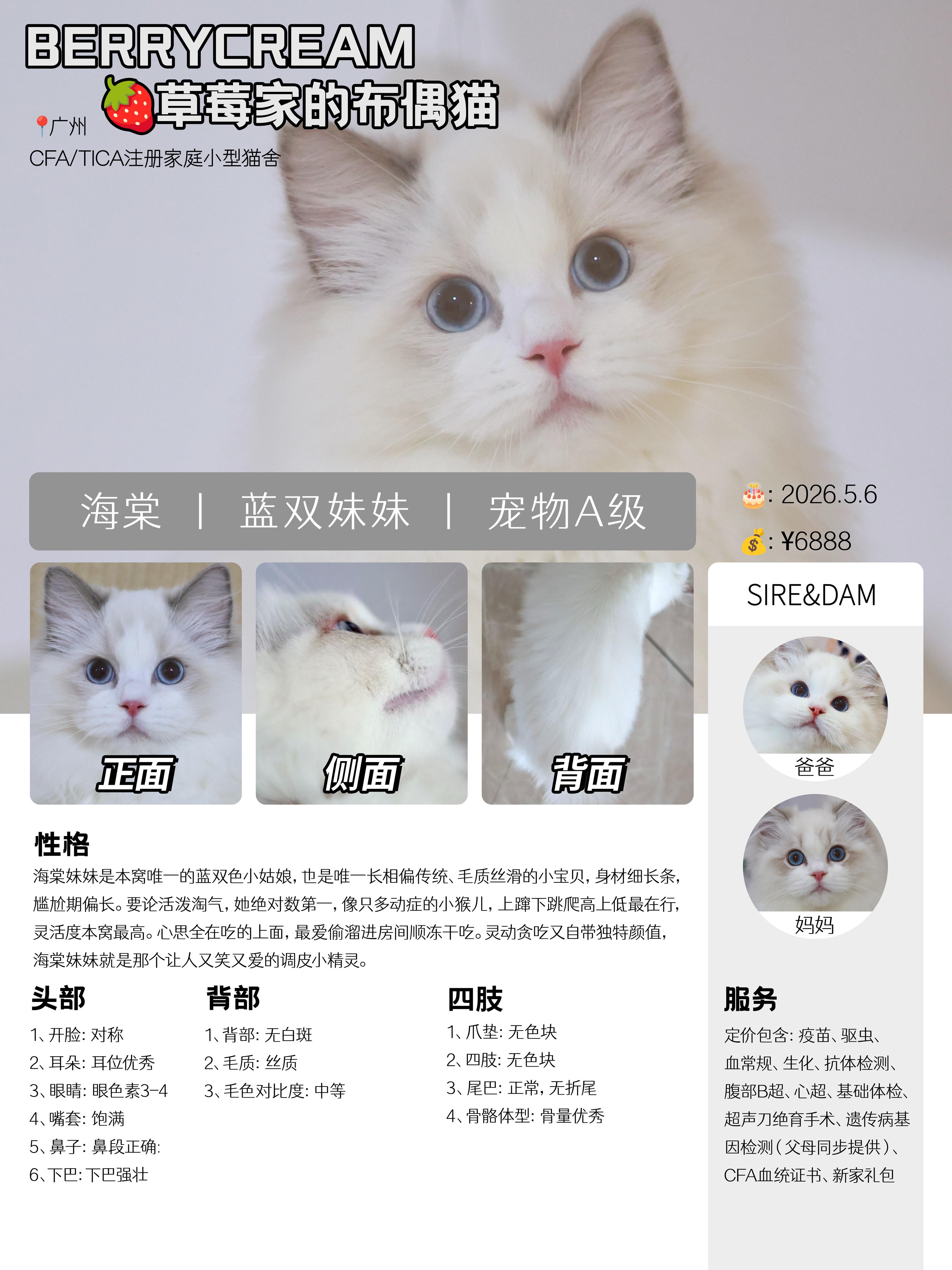 海棠 2