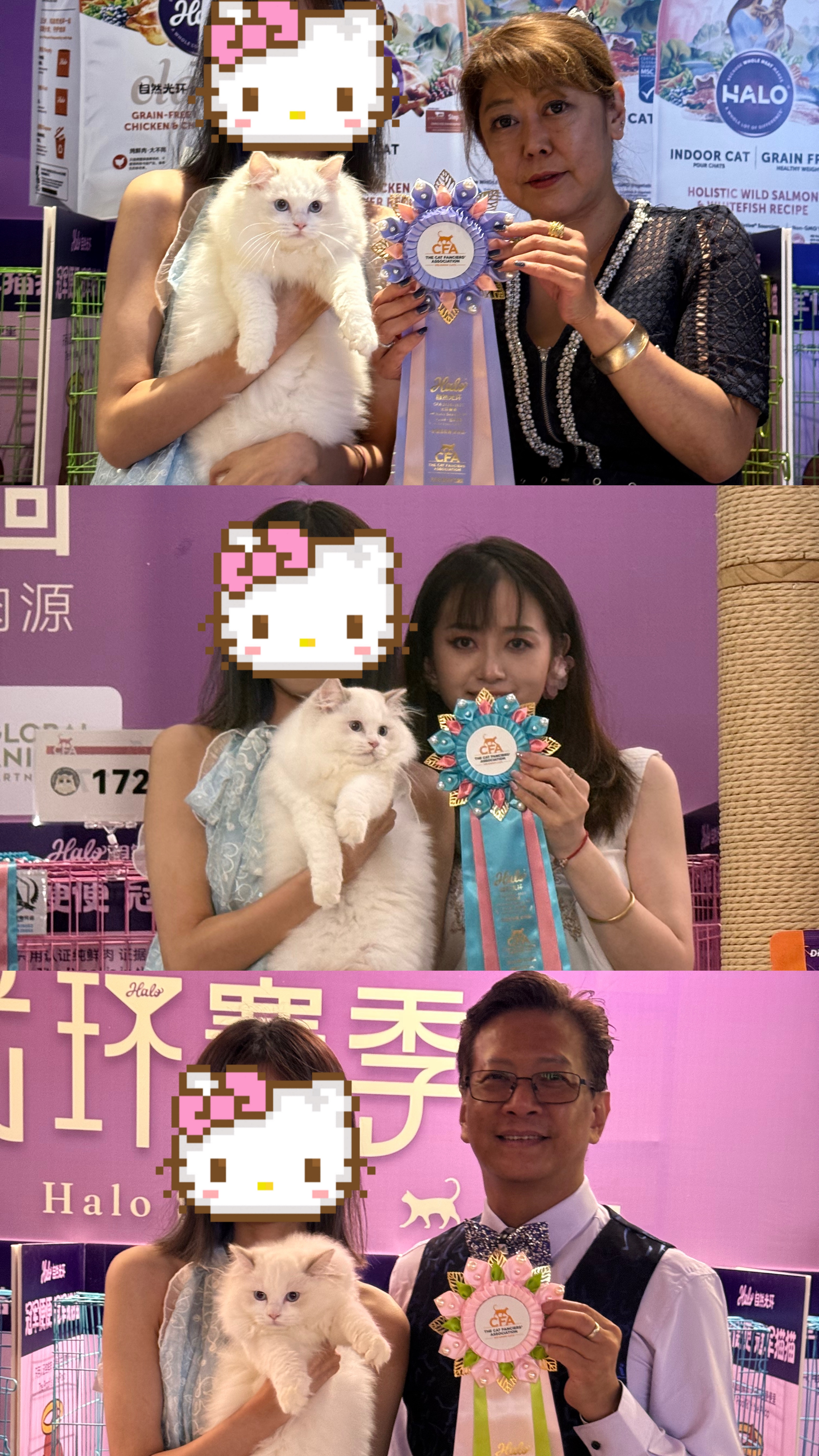 CFA赛场小记