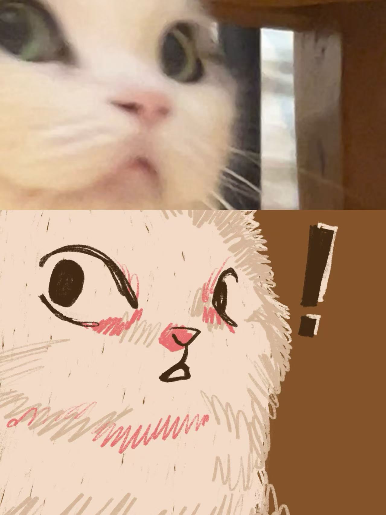 小猫专属插画定制 照片 6