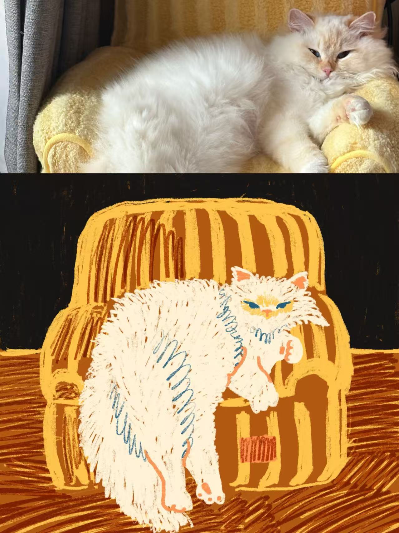 小猫专属插画定制 照片 5