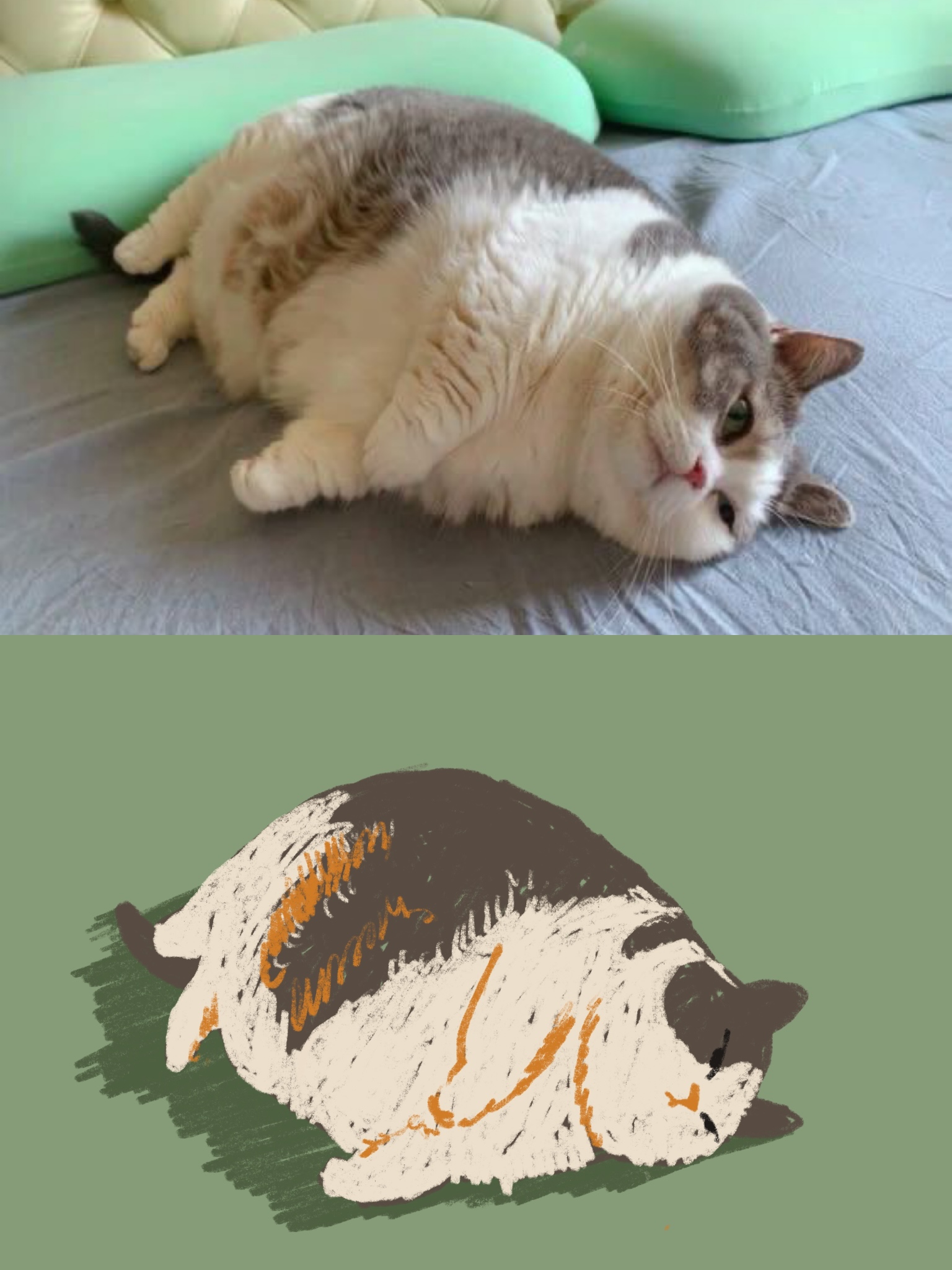 小猫专属插画定制 照片 8