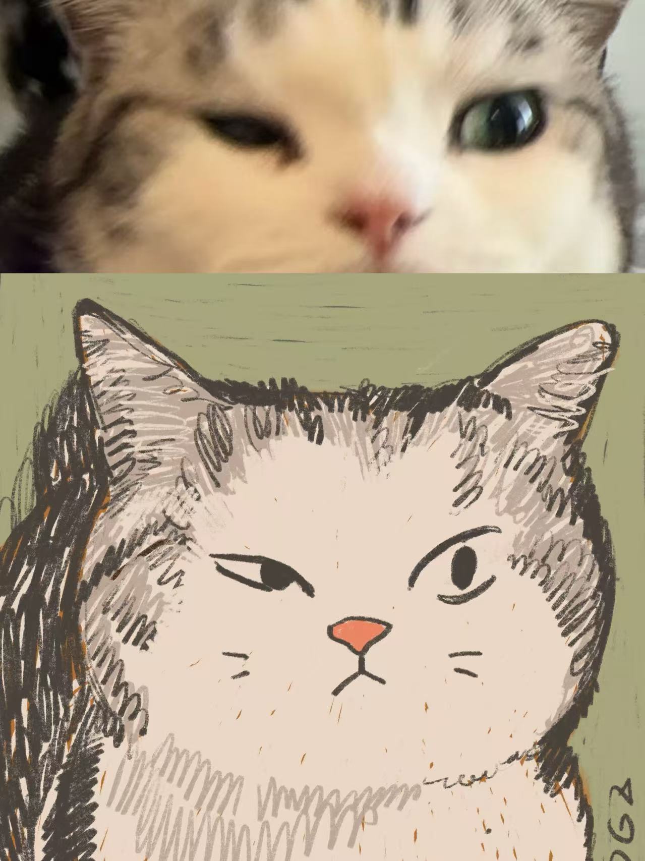 小猫专属插画定制 照片 2