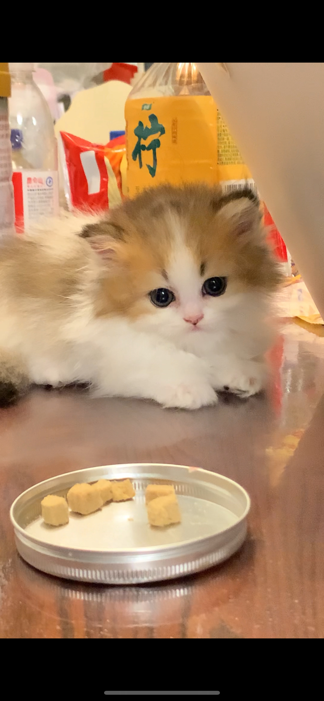 杨梅 照片 4
