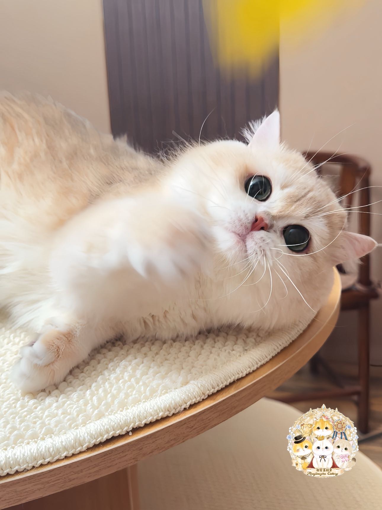 MJZ.Ornn奥恩