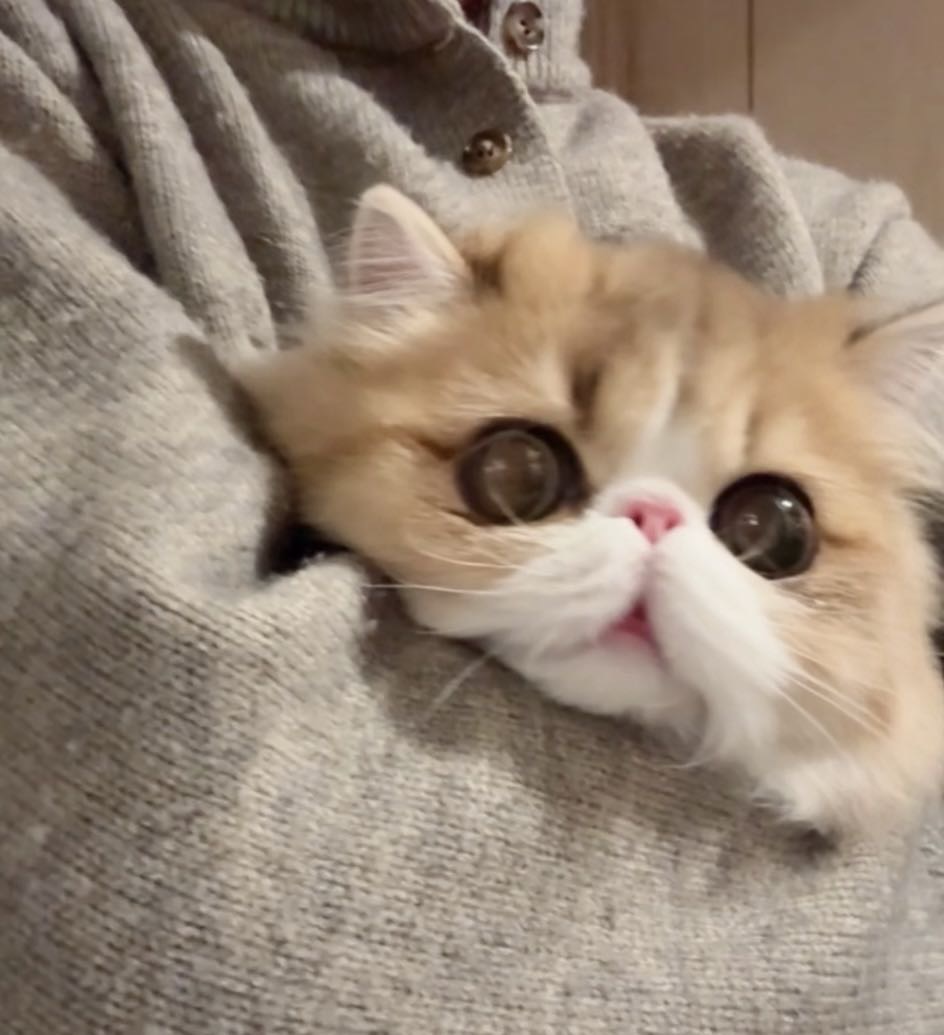 恩呐