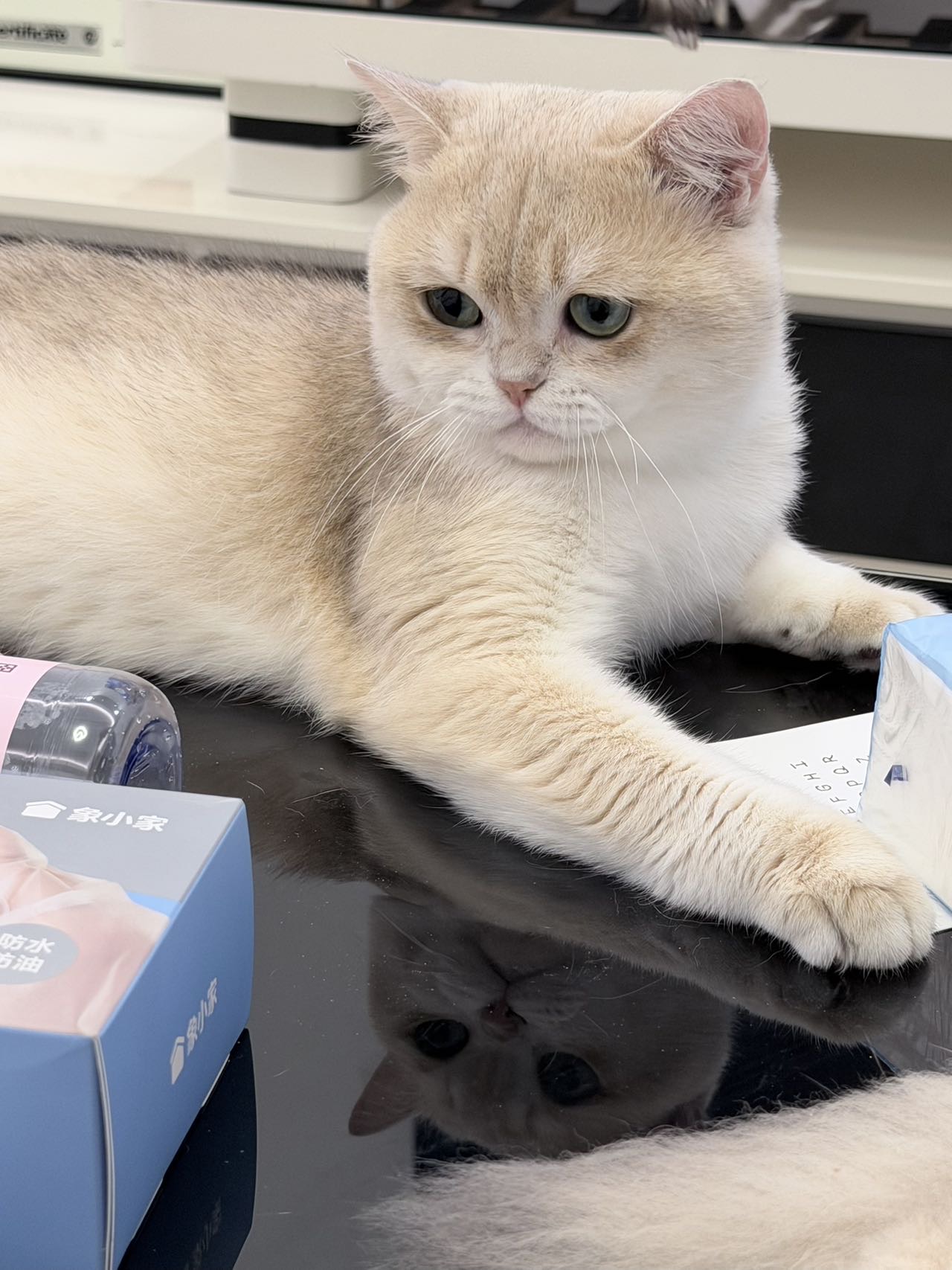 小蓝