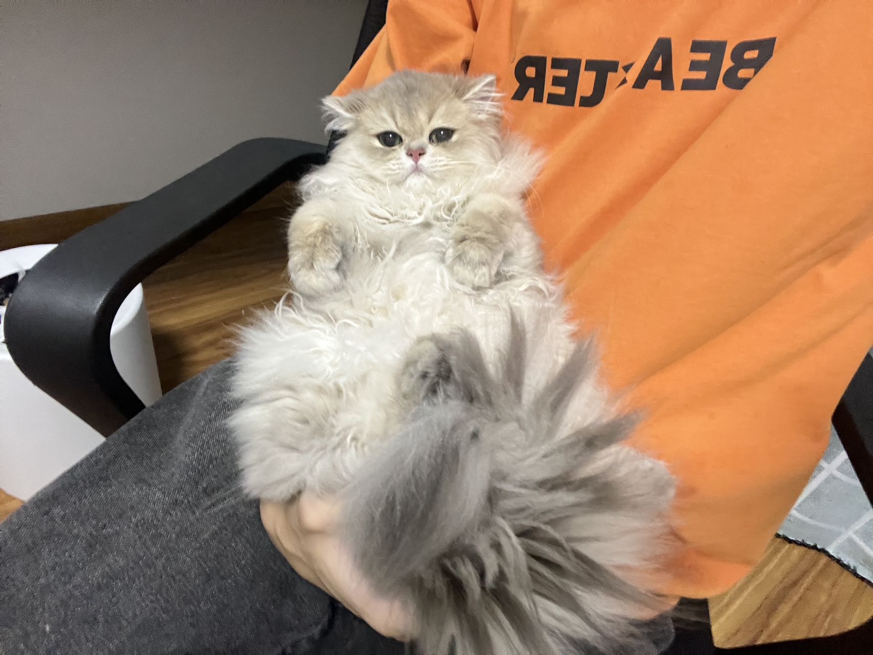 薄荷