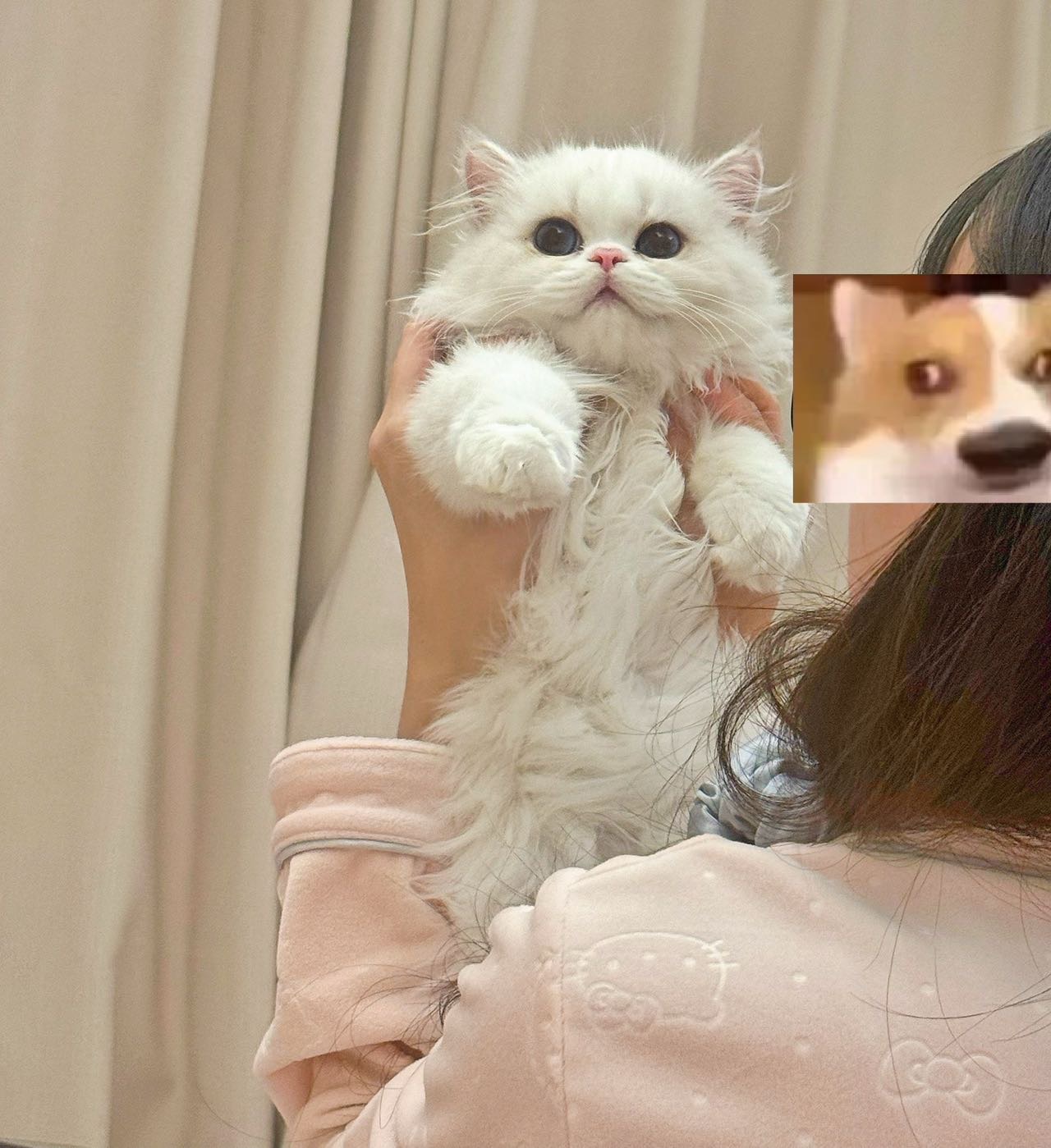 Lulu