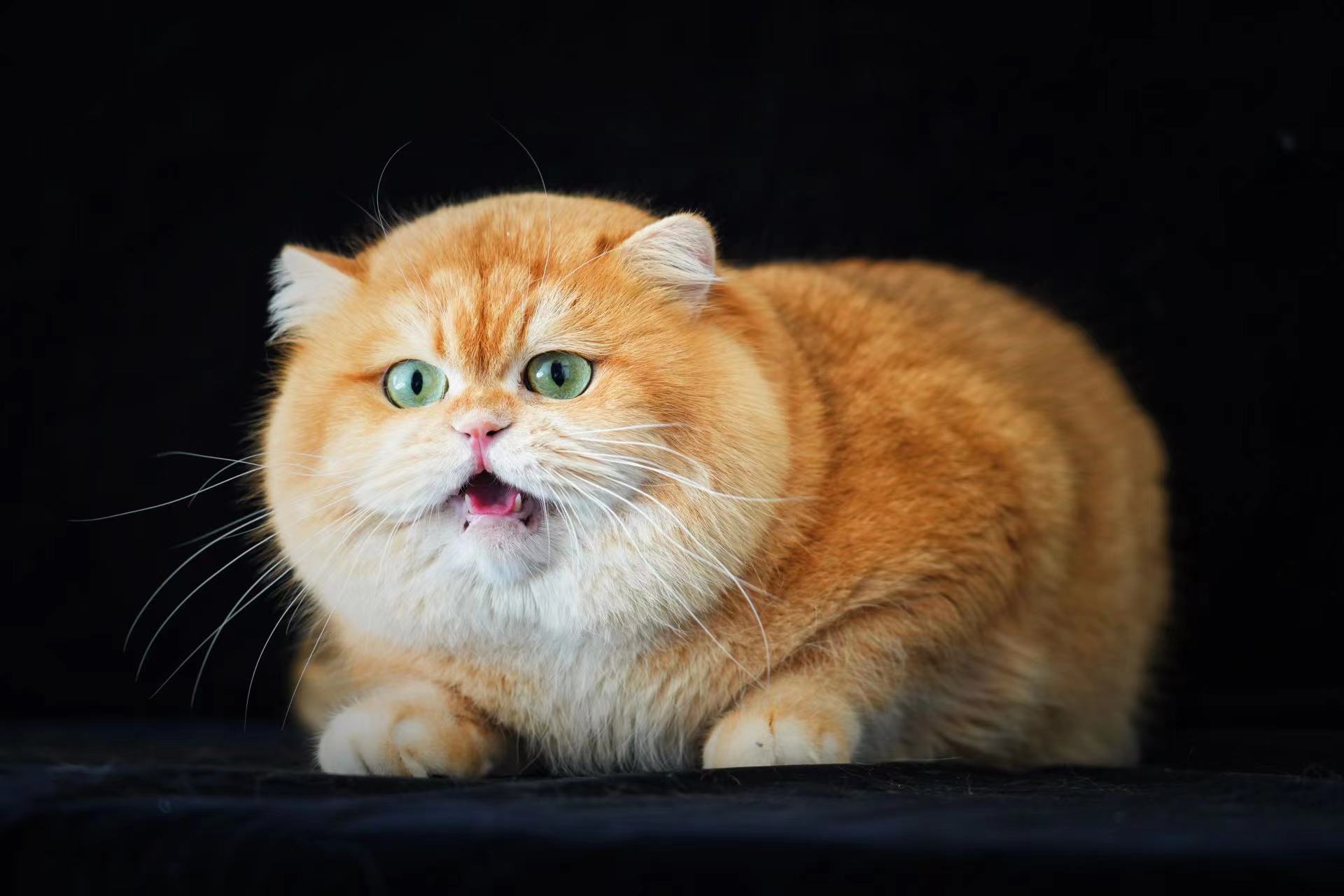 锦瑟