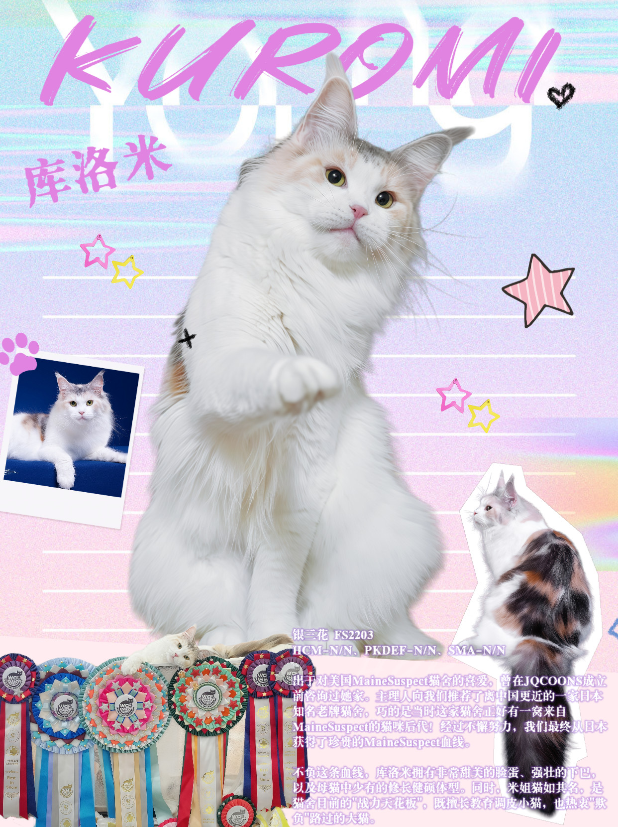 VERSUS KUROMI OF JQCOONS 库洛米