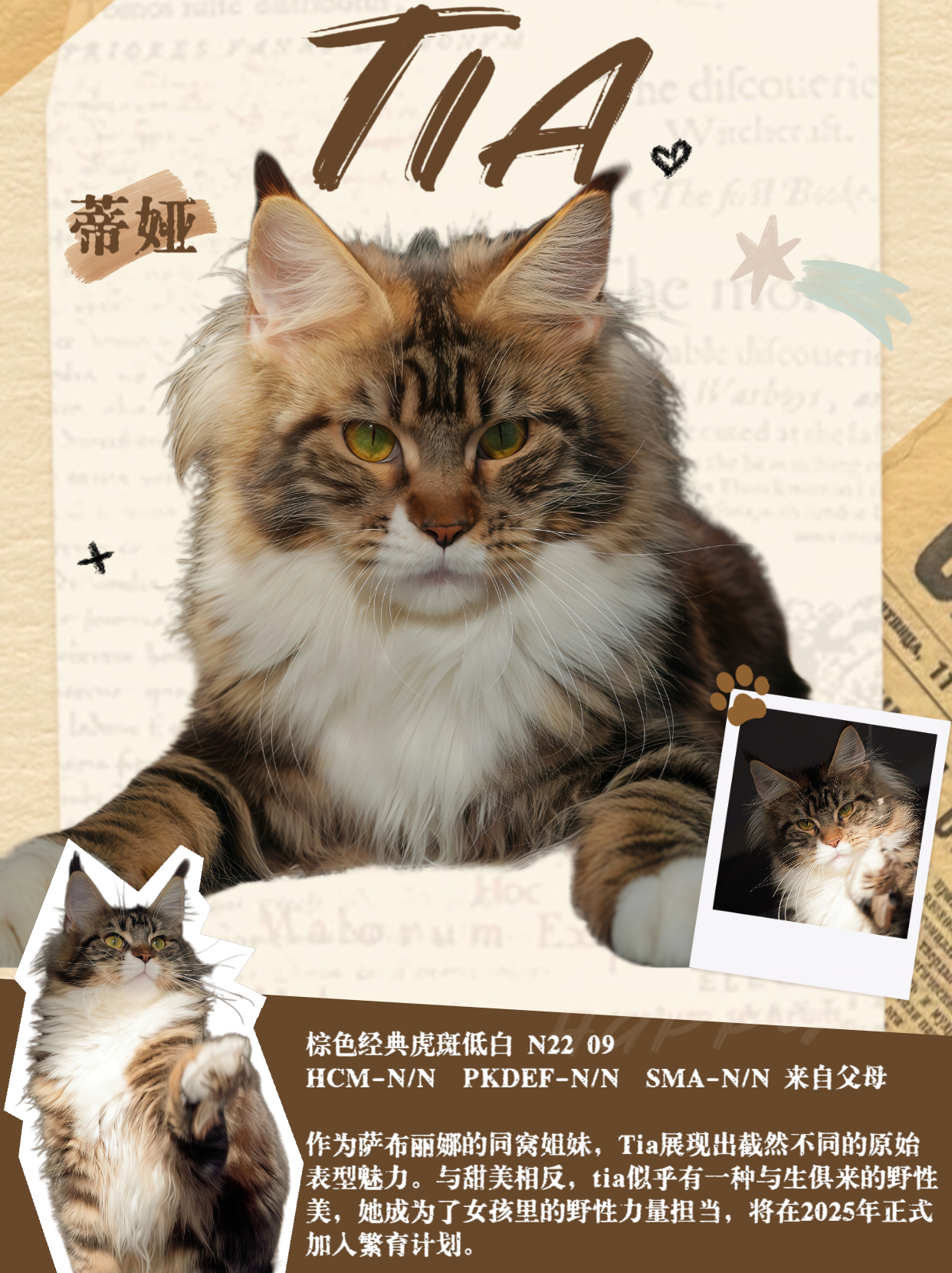 退役TIA 照片 2