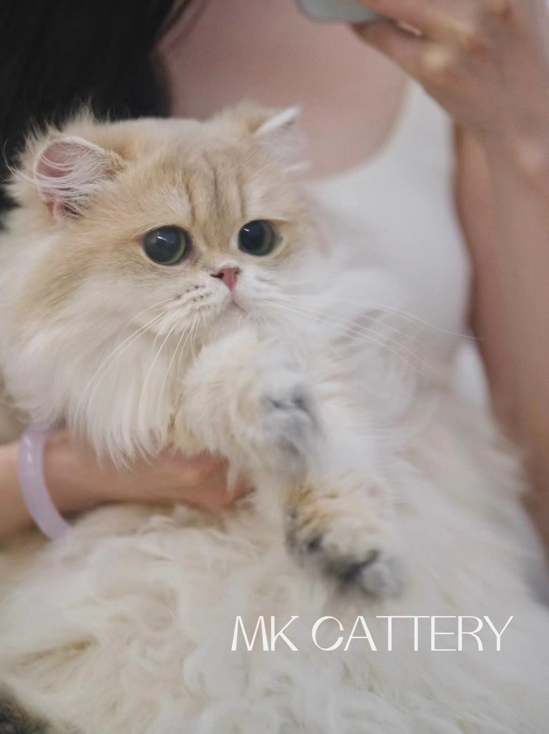 Yuki