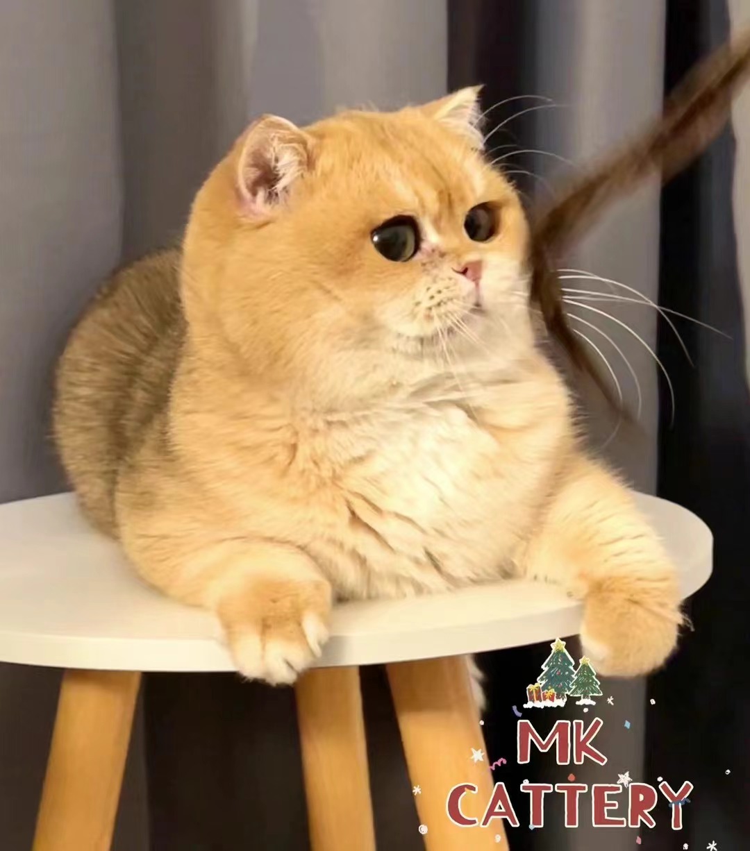 欧恩