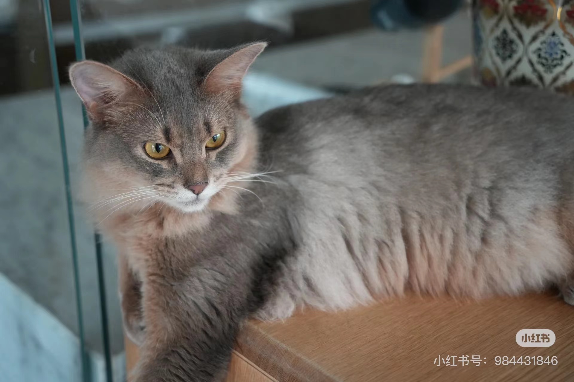 伯爵