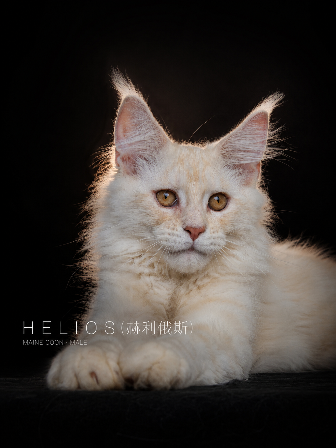 Helios | 赫利俄斯