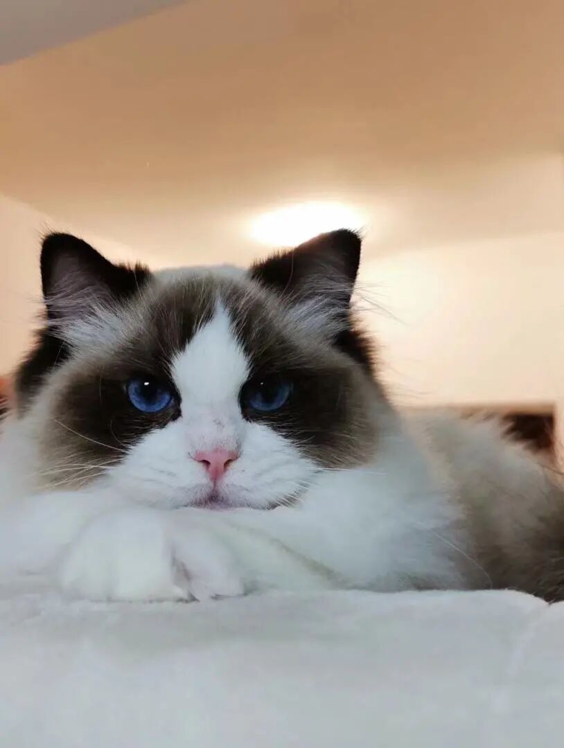 皮克斯