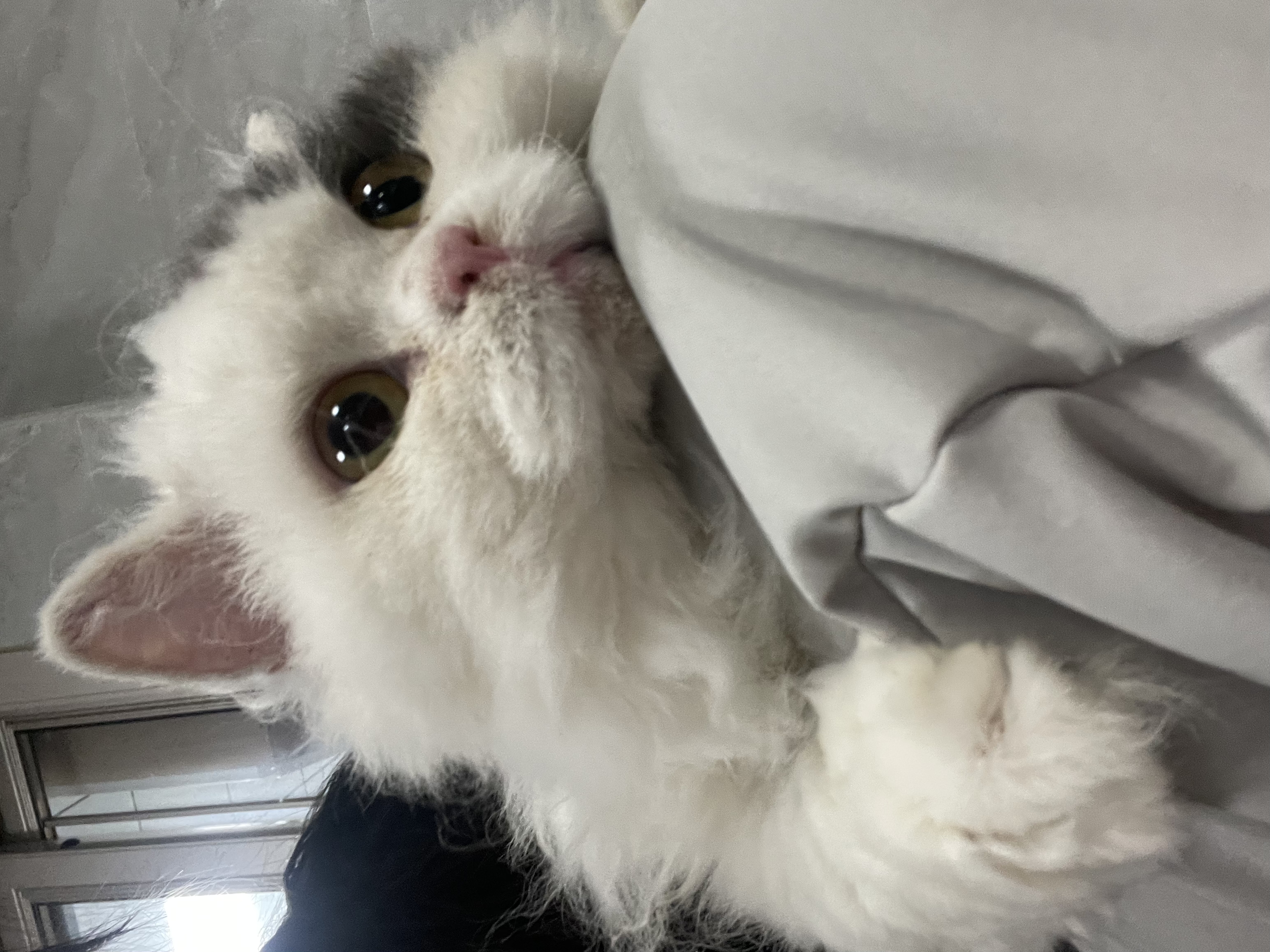 水水
