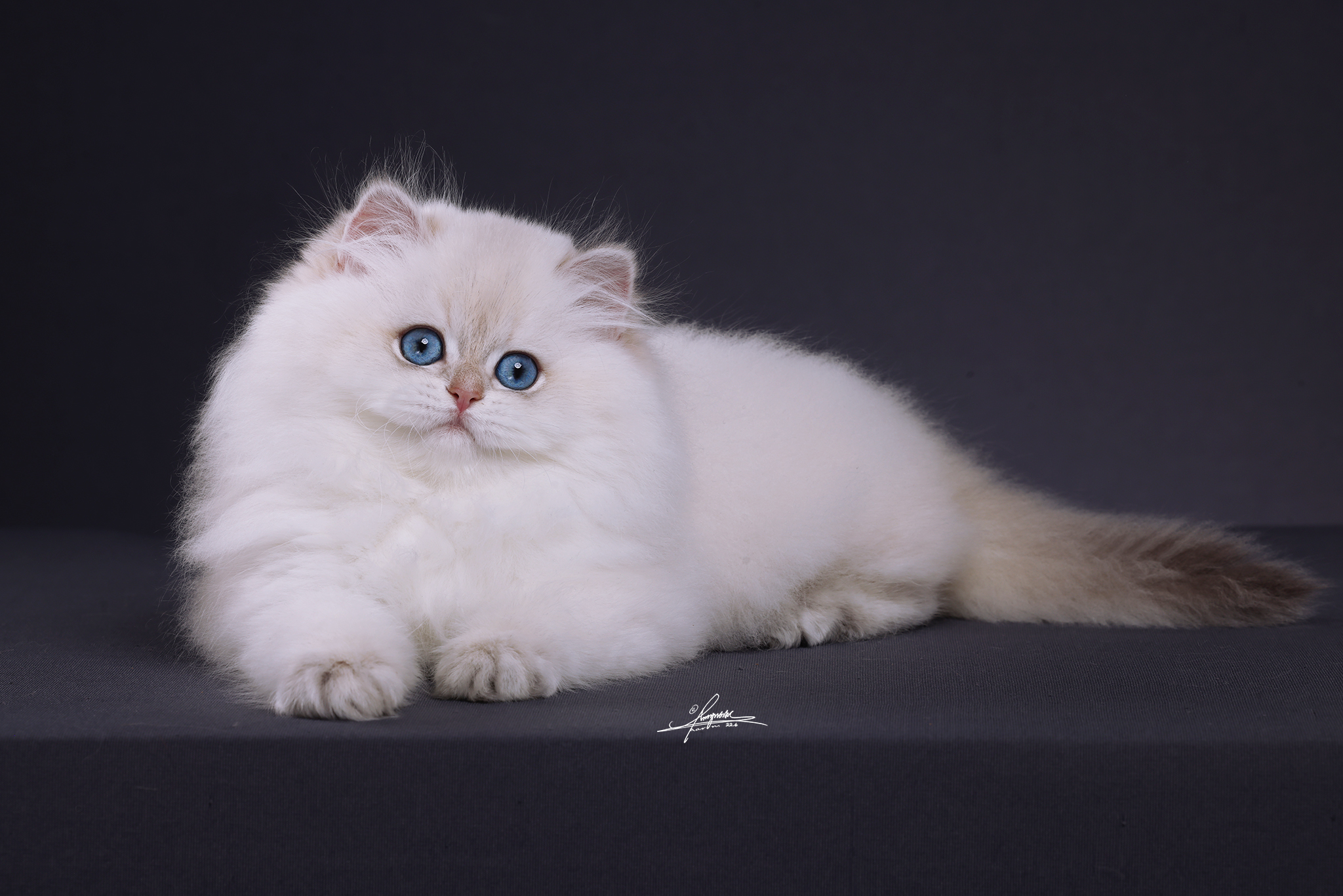 客服添加-待调整2 照片 3