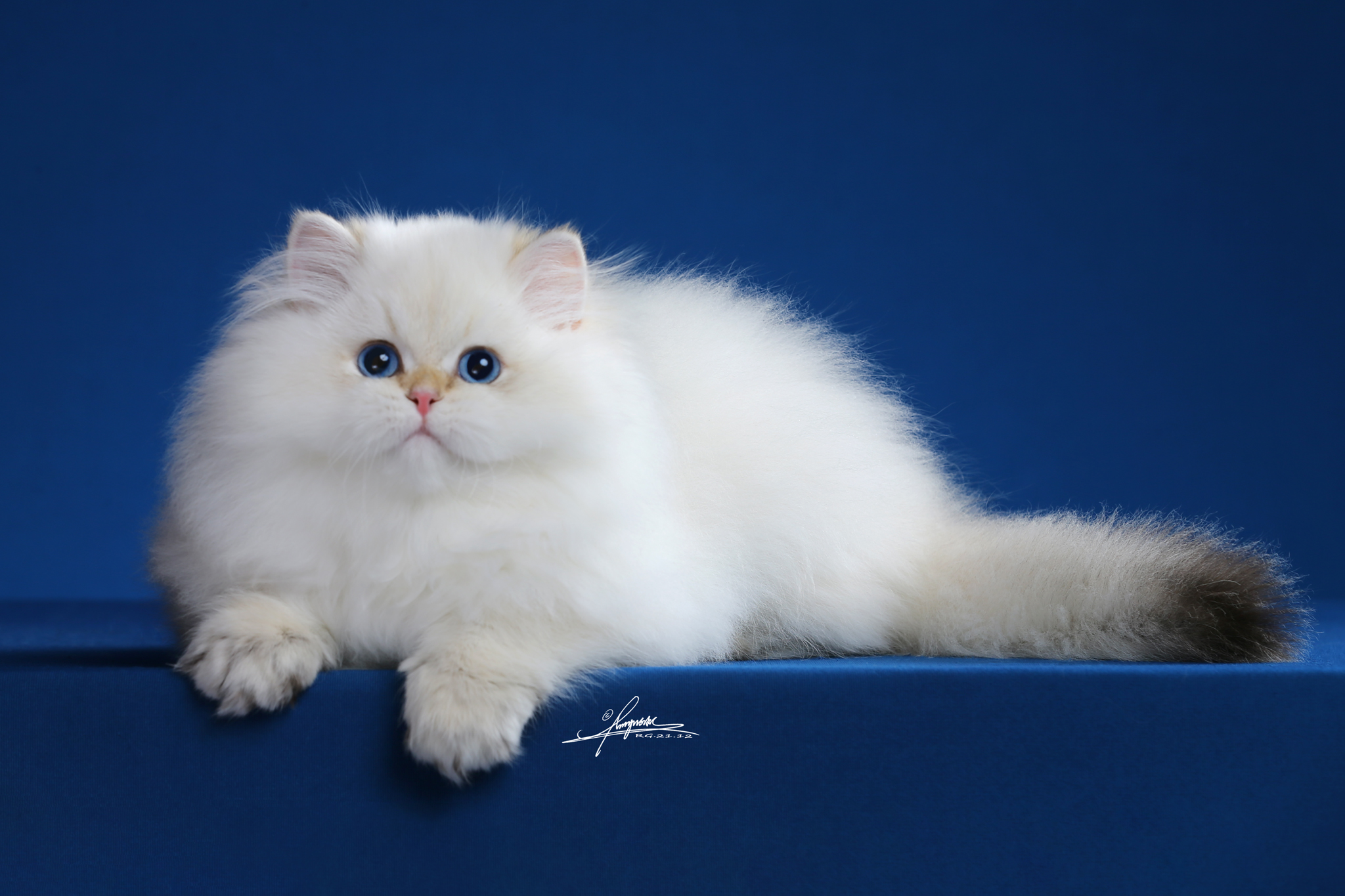 客服添加-待调整2 照片 5