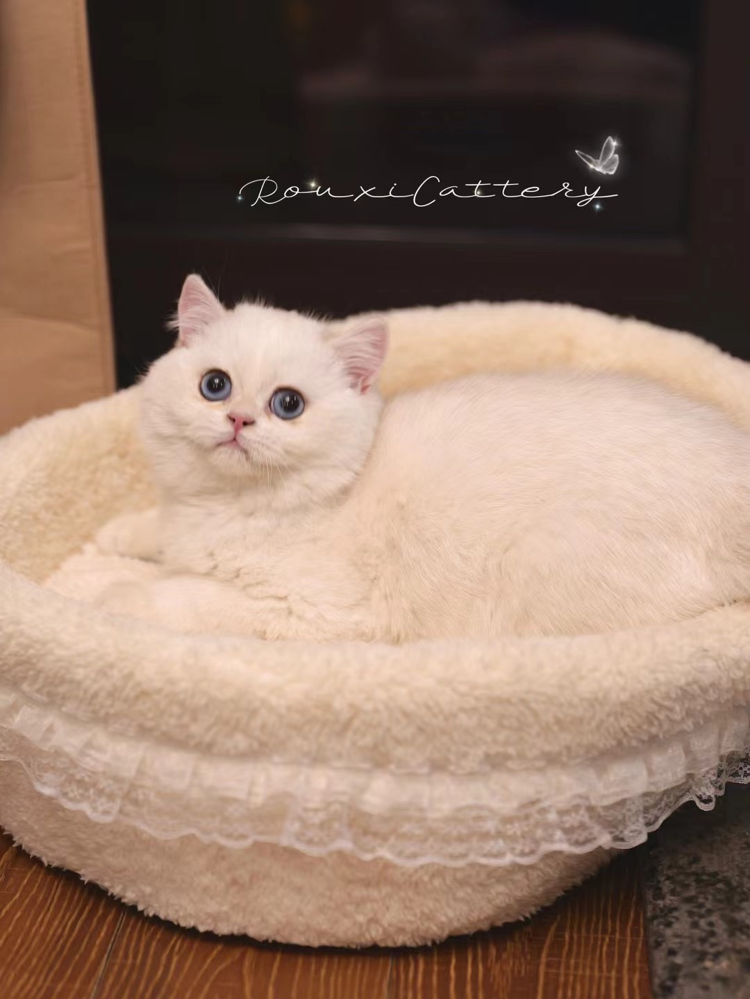 客服添加-待调整