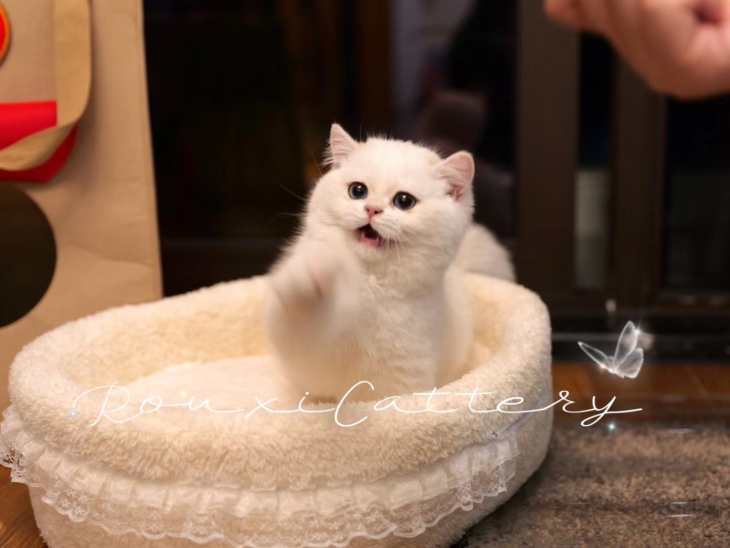 客服添加-待调整 照片 3