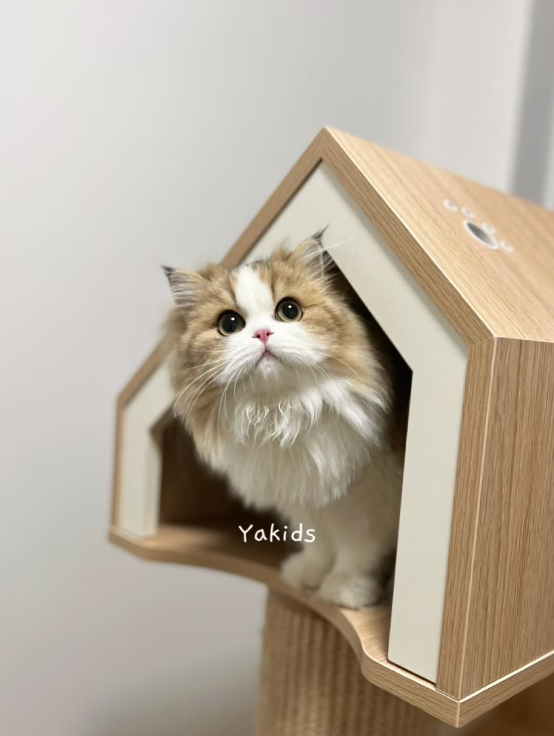 凌星