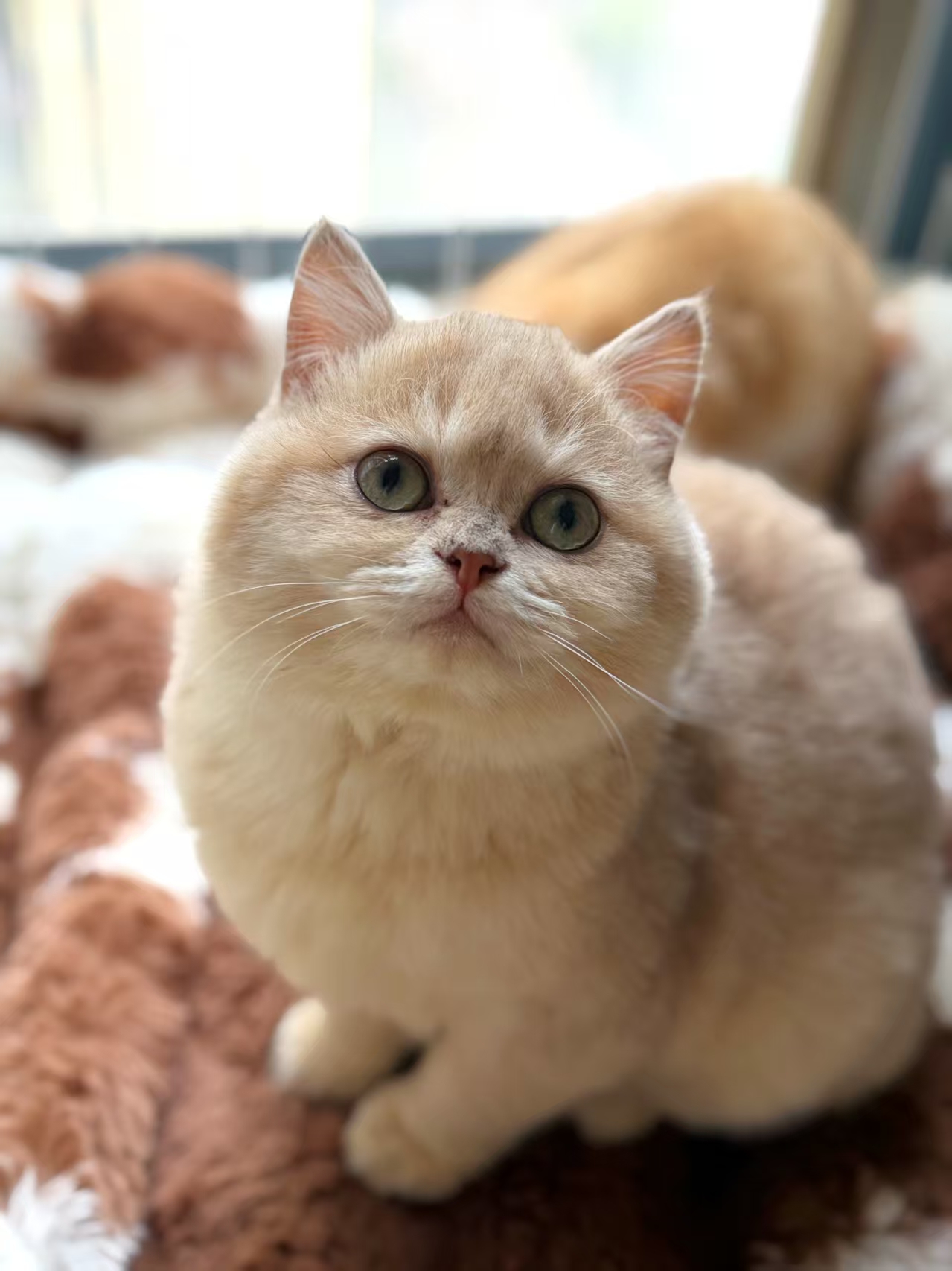 萝萝 照片 2