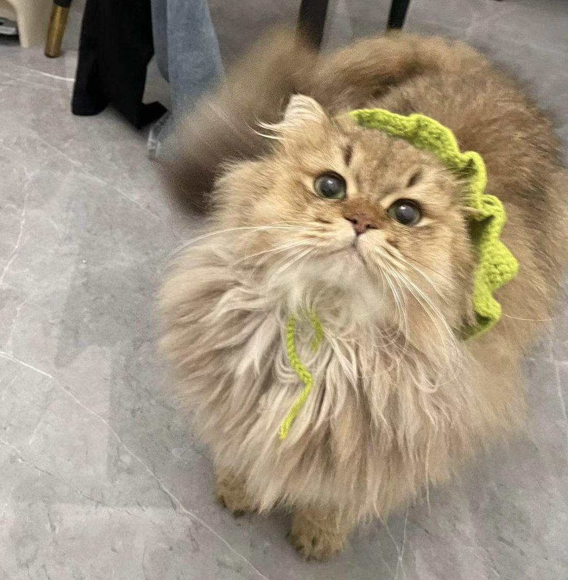 派派
